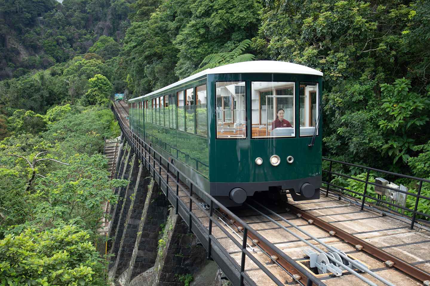 things to do during a layover in hong kong | visit victoria peak