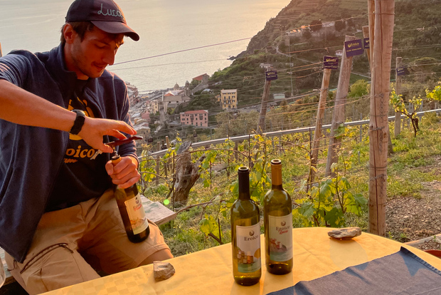 Vernazza: Panoramic Vineyard Trekking Tour w/ Wine Tasting