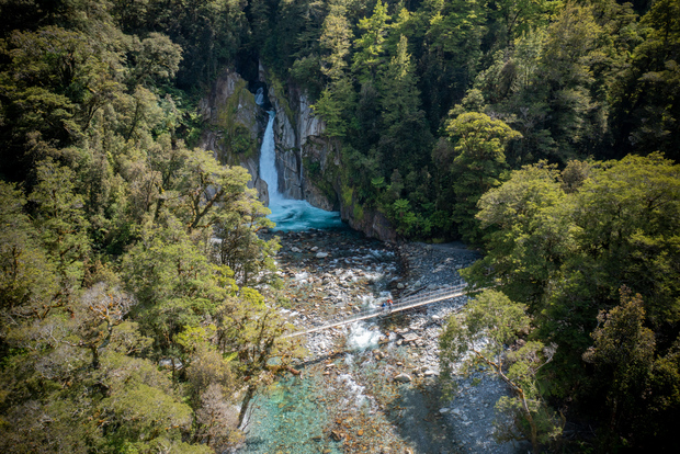 Milford Sound: Milford Track Walk con guida di mezza giornata
