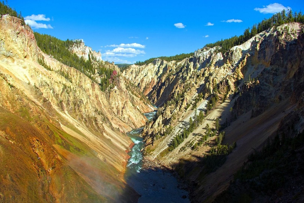 Da Gardiner: tour della fauna selvatica del canyon di Yellowstone e delle cascate