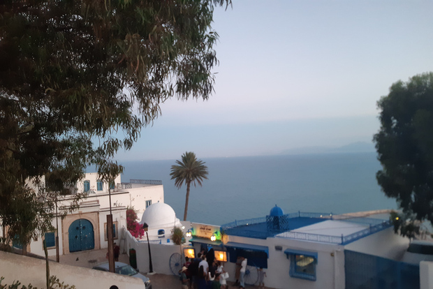 Tunisi: Escursione di Medina e Sidi-bousaid