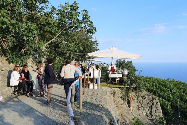 Ischia Wine Tasting Experience: Vineyard's Tour with Pick-Up