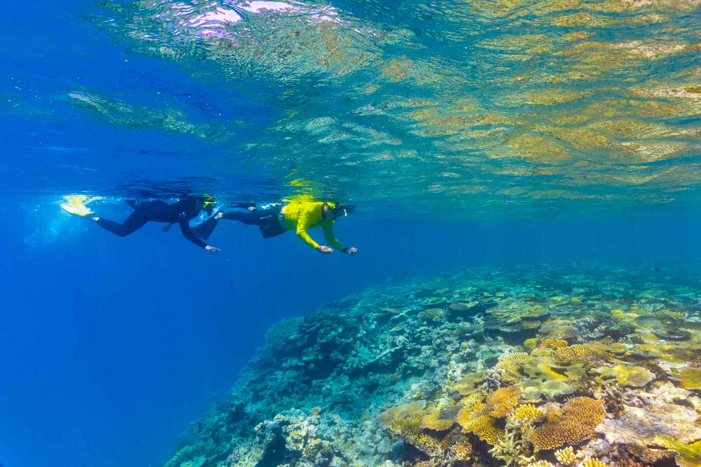 day trips from townsville | museum of underwater art and the great barrier reef