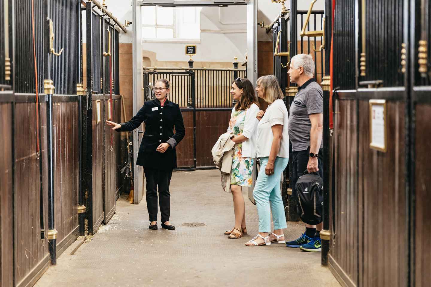 see the lipizzaner horses at spanish riding school