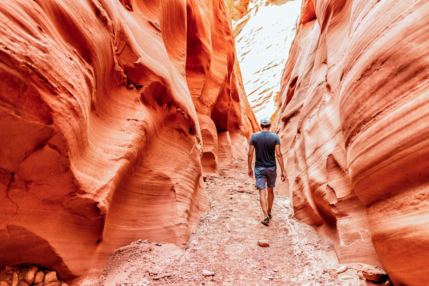 Desde Las Vegas: Excursión al Cañón del Antílope y Horseshoe Bend