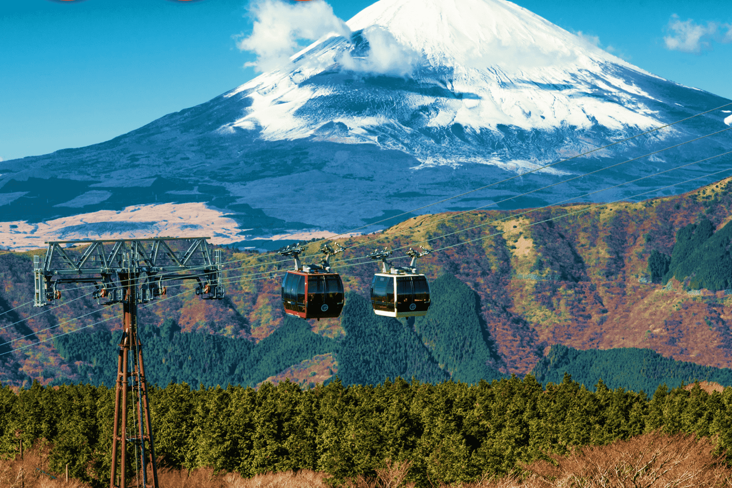 day tours in tokyo | breathtaking views of mount fuji and lake ashi