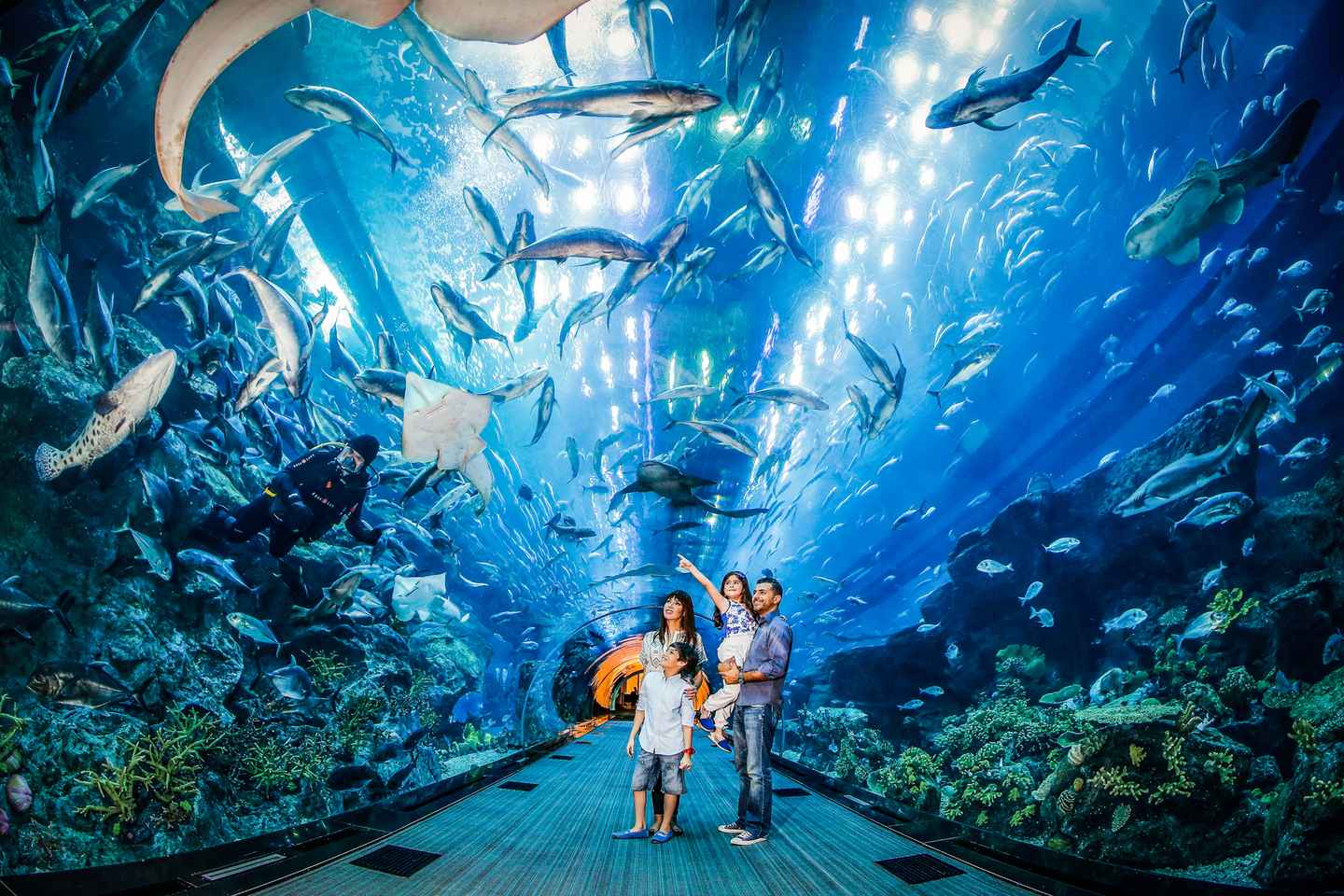 best places to visit in dubai | dubai aquarium & underwater zoo
