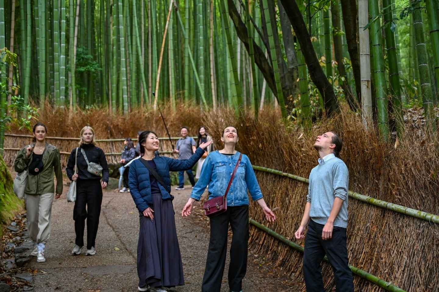 kyoto instagram spots | arashiyama bamboo forest