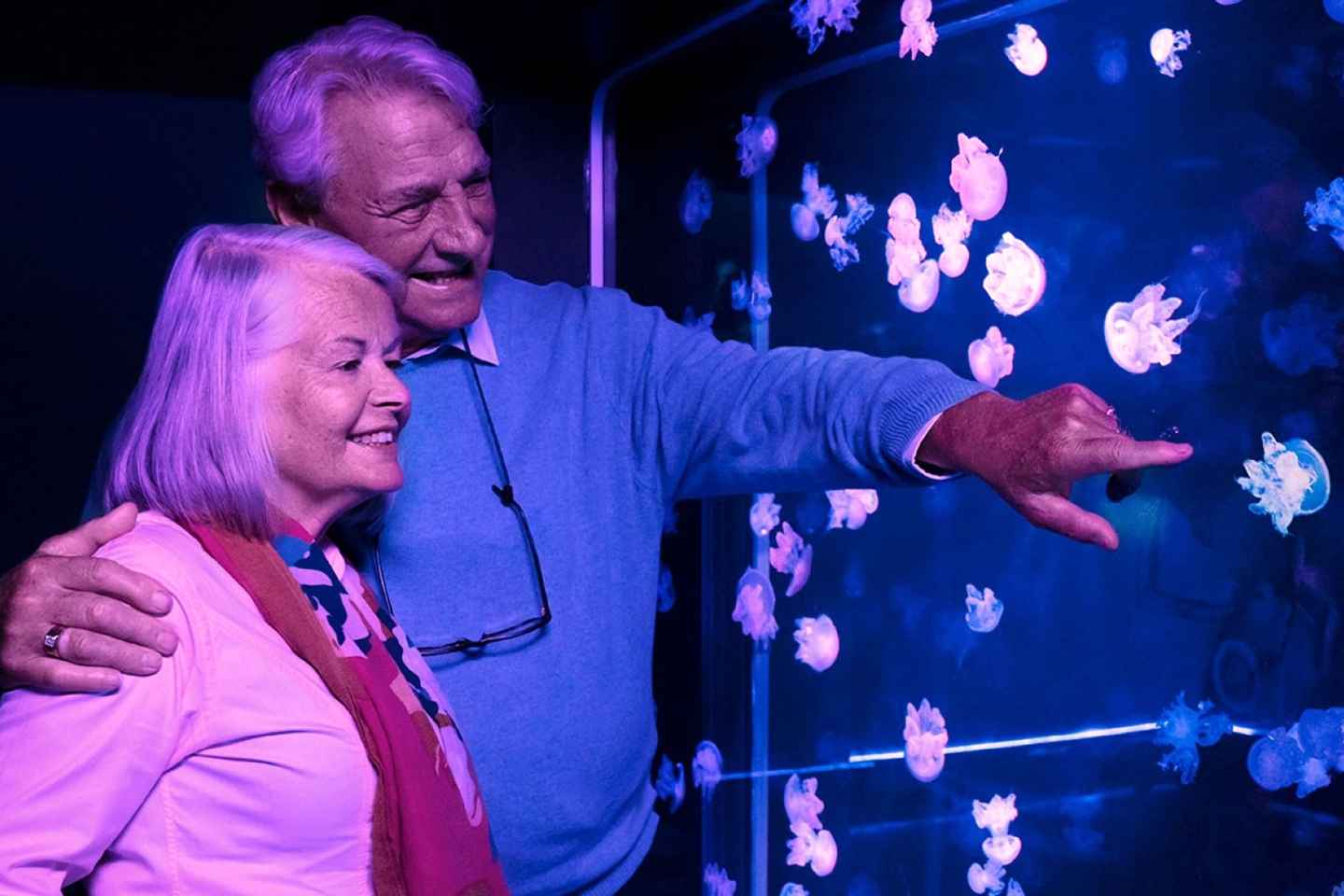 romantic things to do in nj | get to know sea creatures at sea life aquarium
