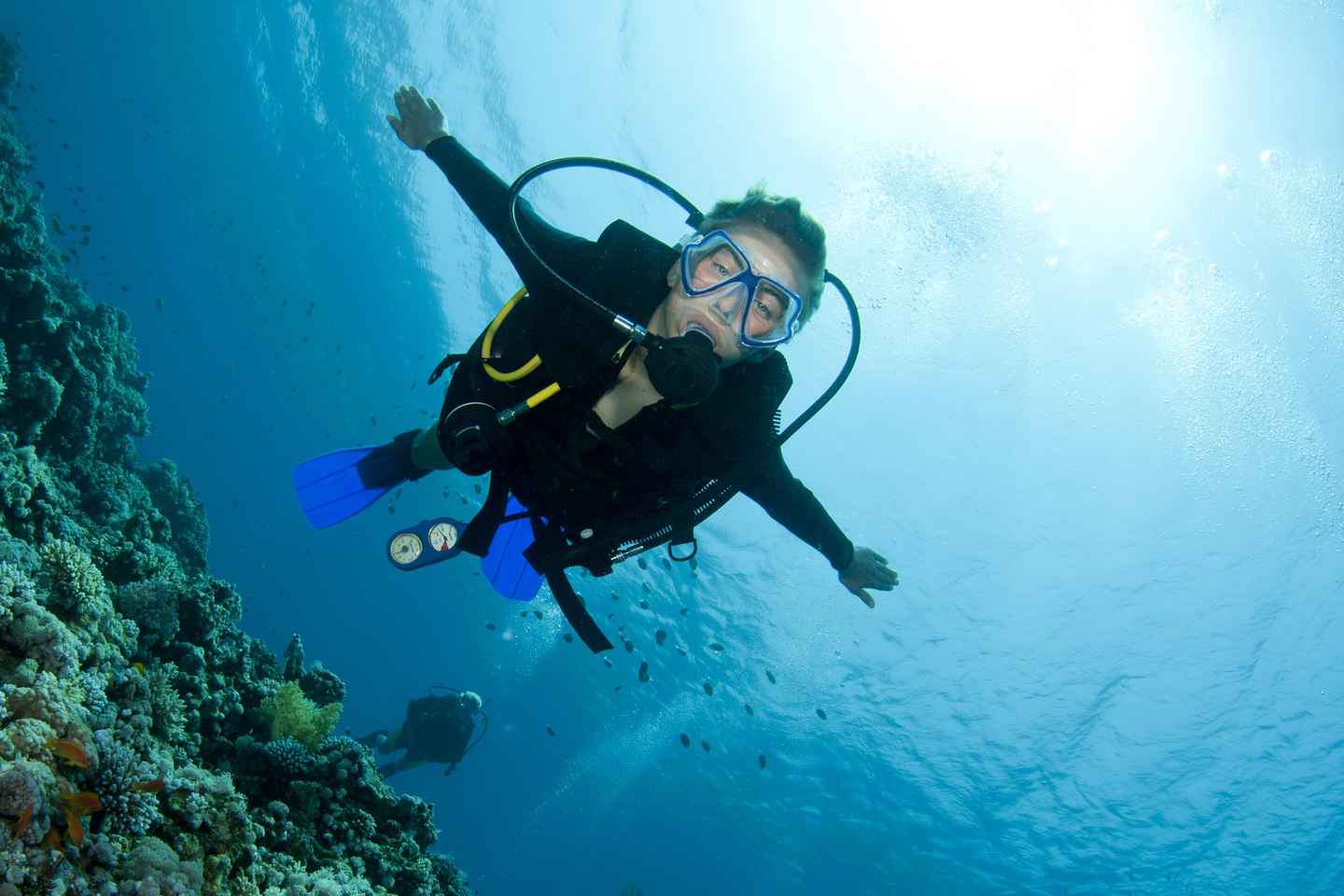 an unforgettable diving experience