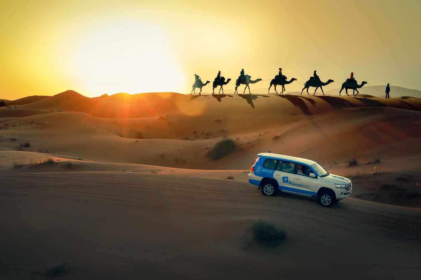 things to do in qatar | enjoy a camel ride
