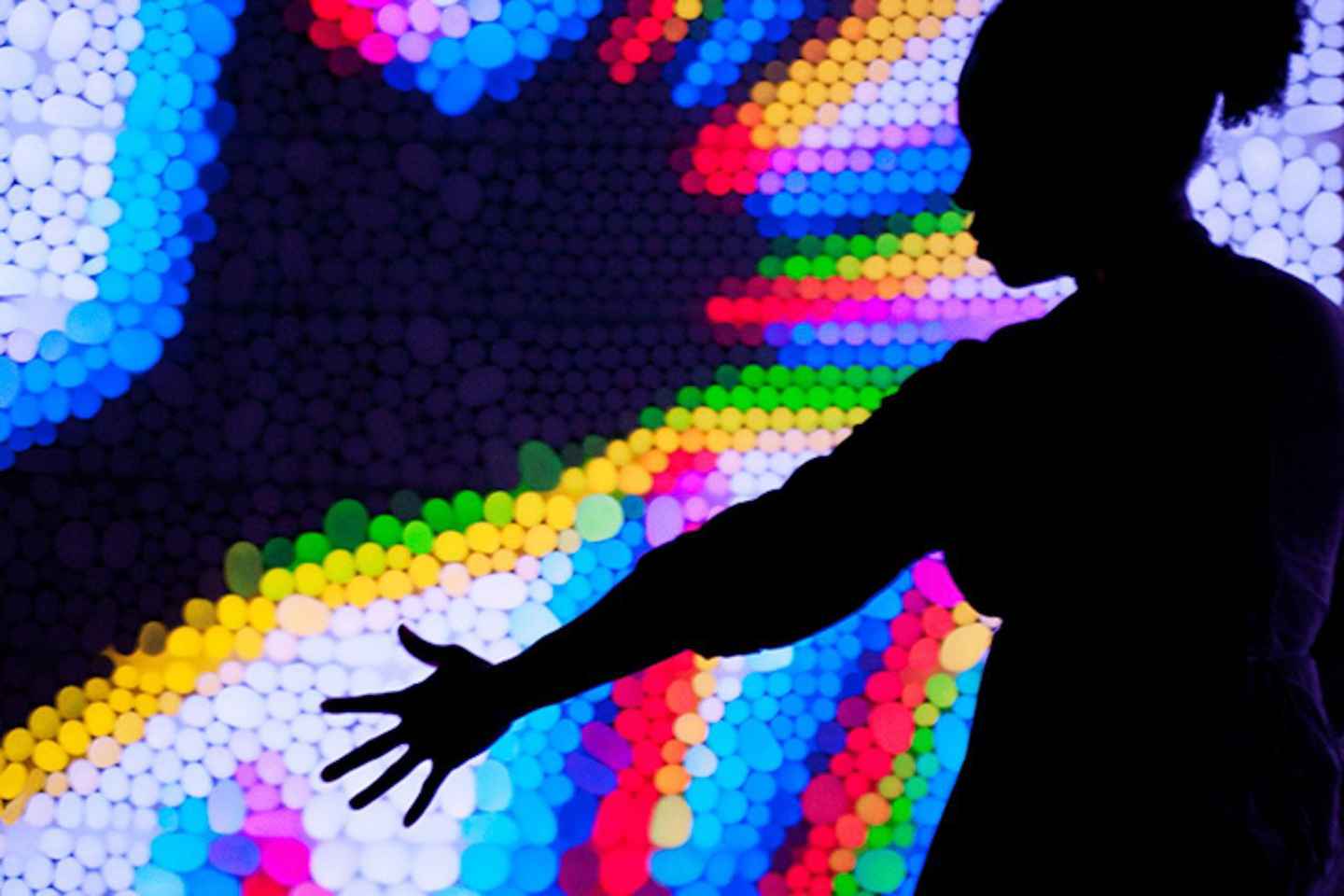 immerse yourself in arts and sciences