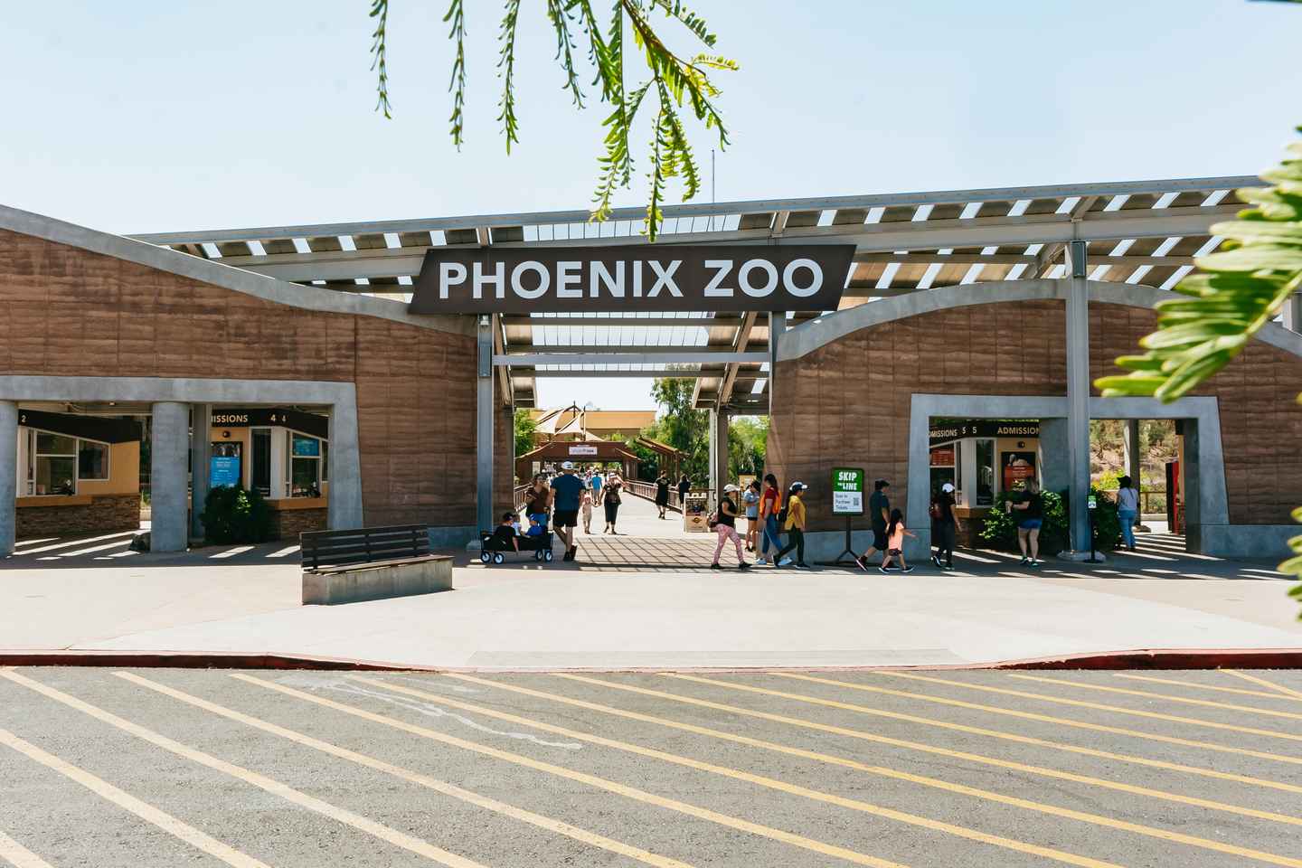 things to do in phoenix at christmas | see the zoo light up as the sun goes down