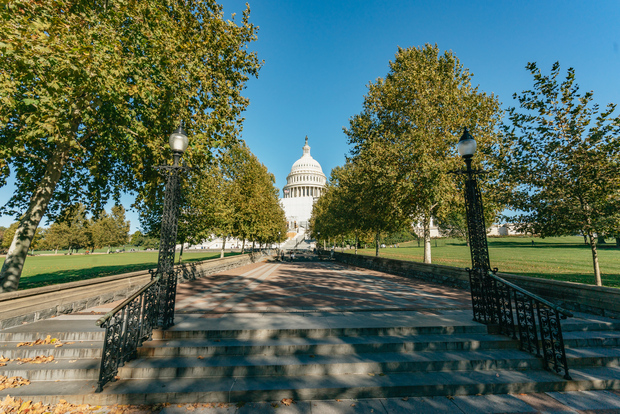 New York: tour di un giorno intero del meglio di Washington