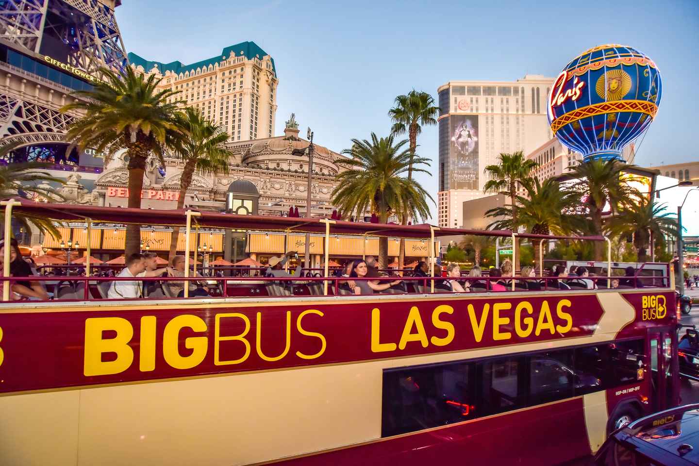 soak up the dazzling sights of las vegas