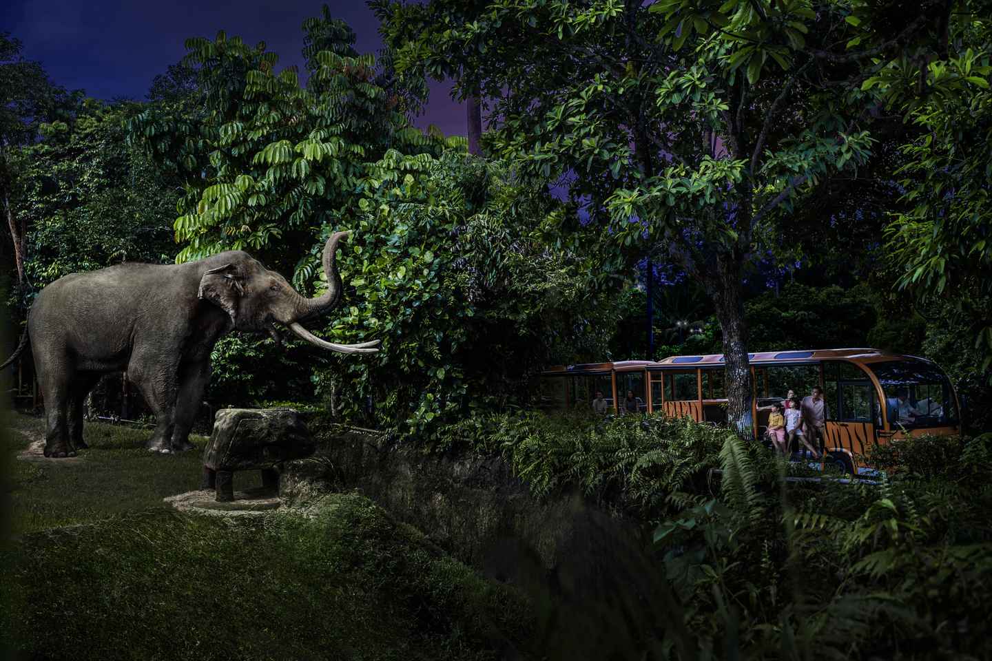 singapore night safari & tram ride