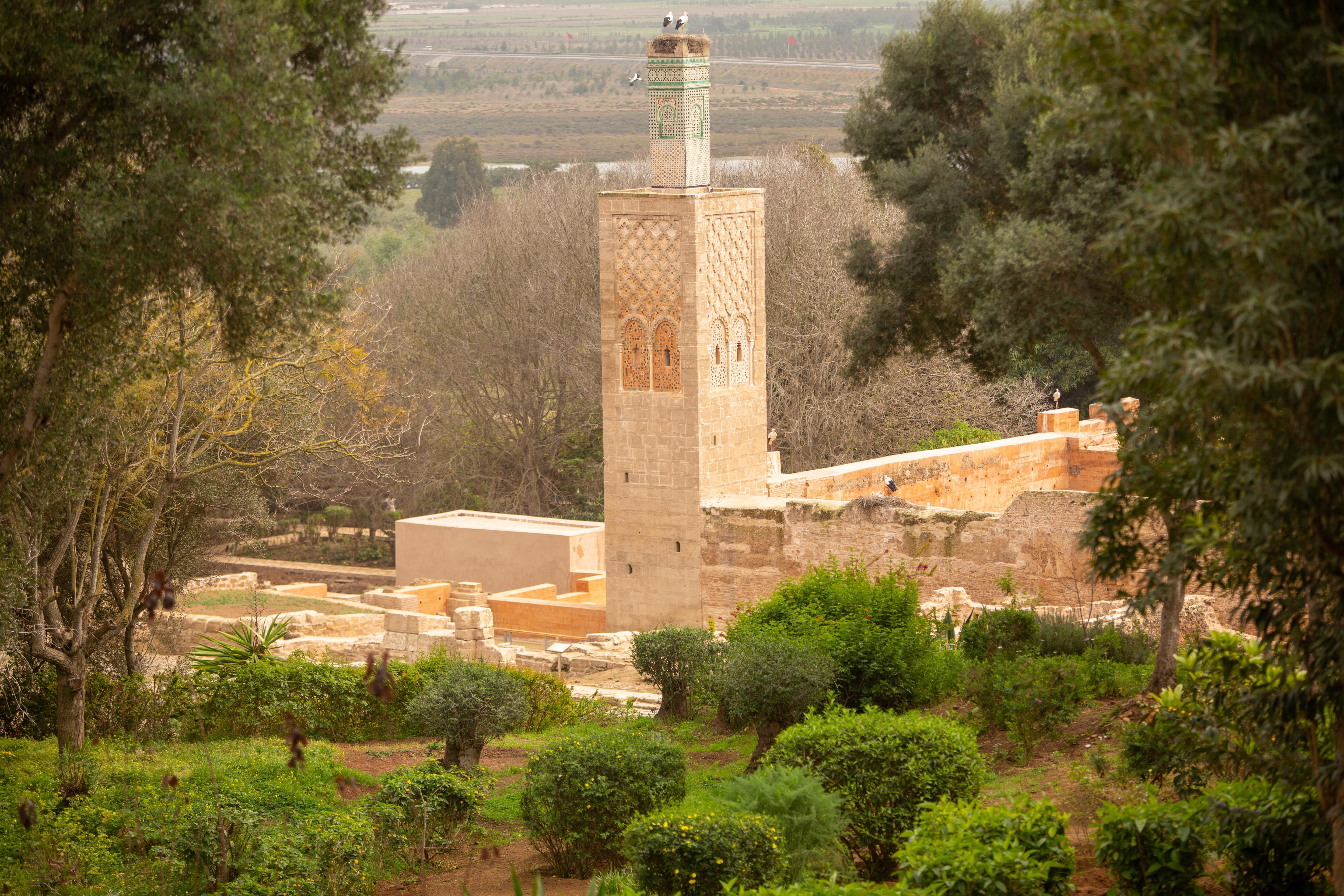 Rabat: Visit the Chellah Archaeological Site | GetYourGuide