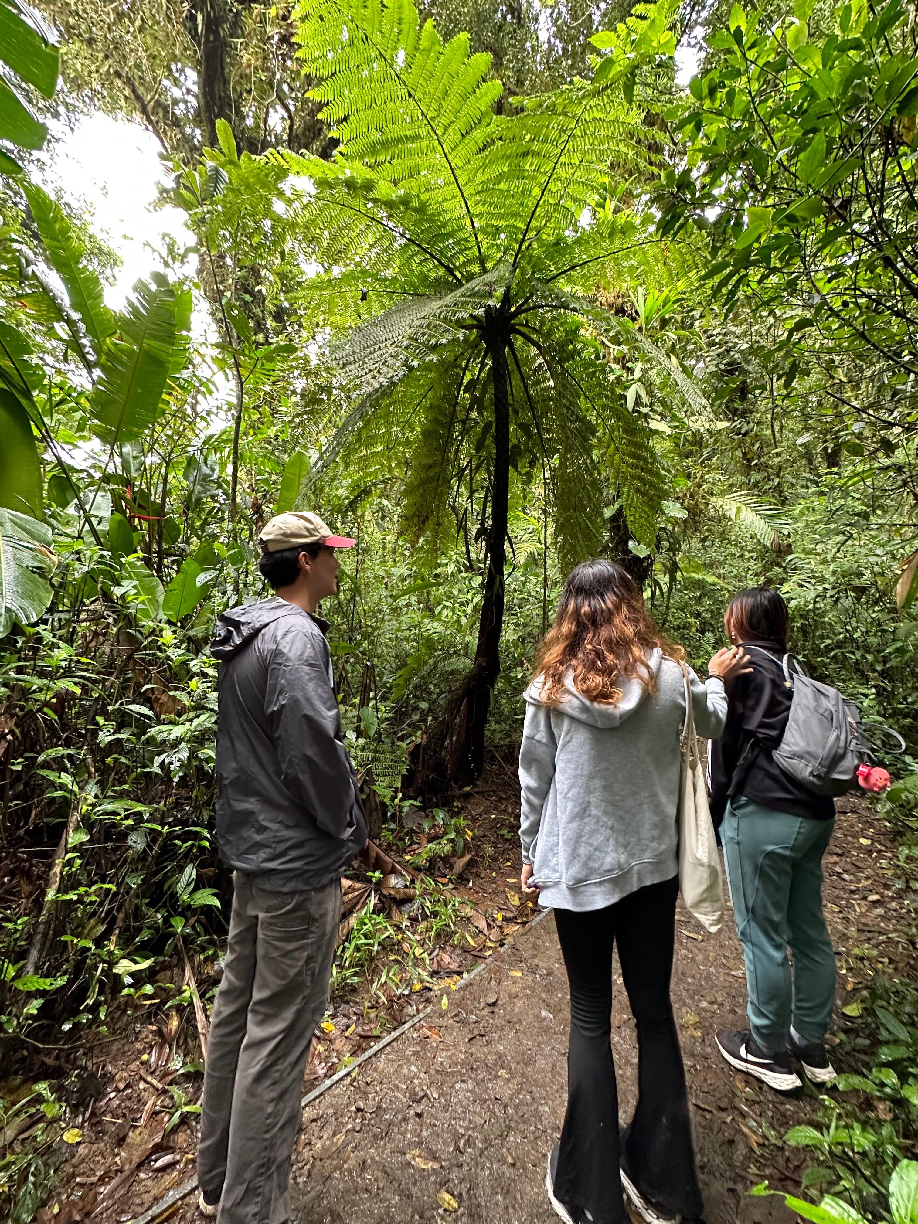 Monteverde tour experience