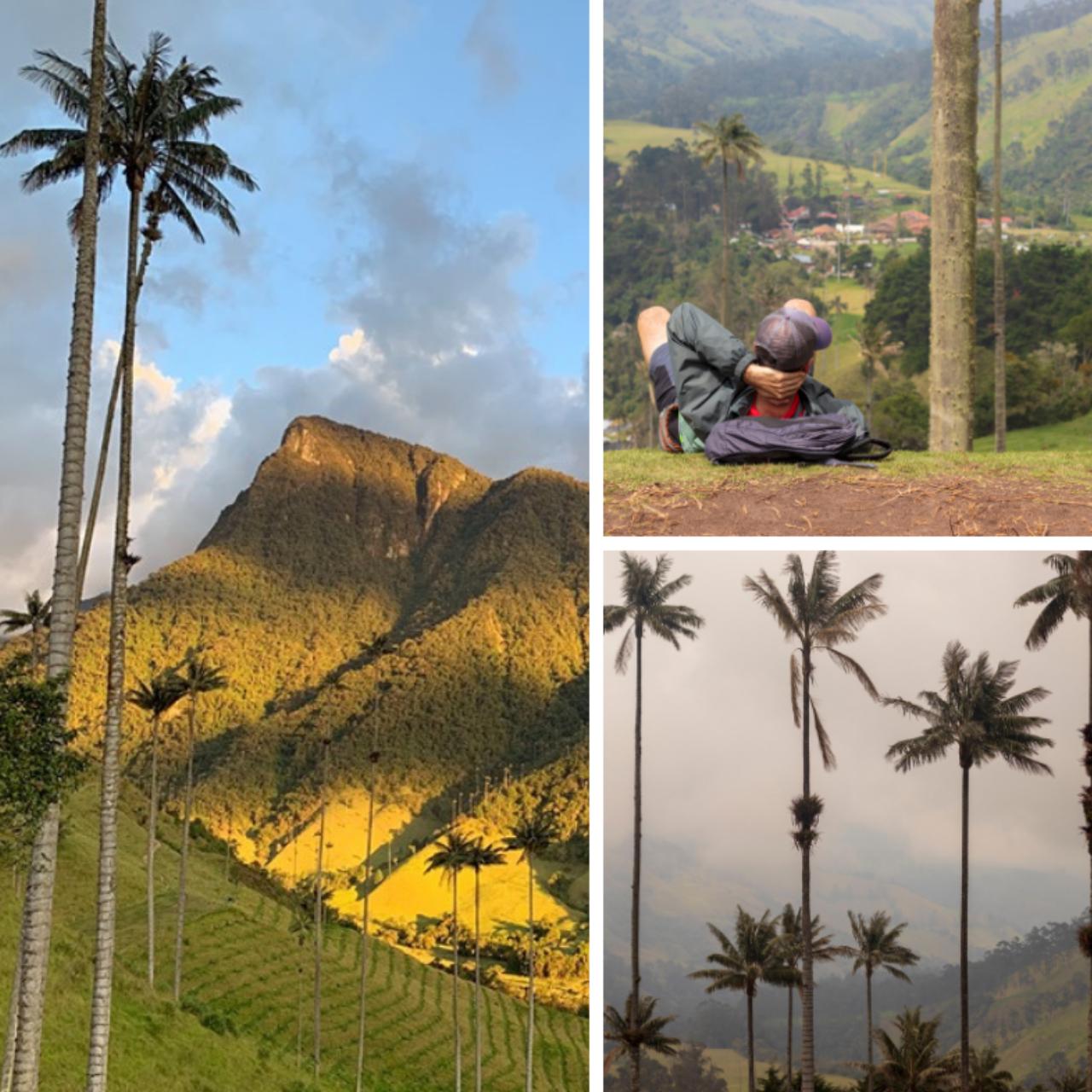 Salento, Cocora Valley & Coffee Farm Day Tour