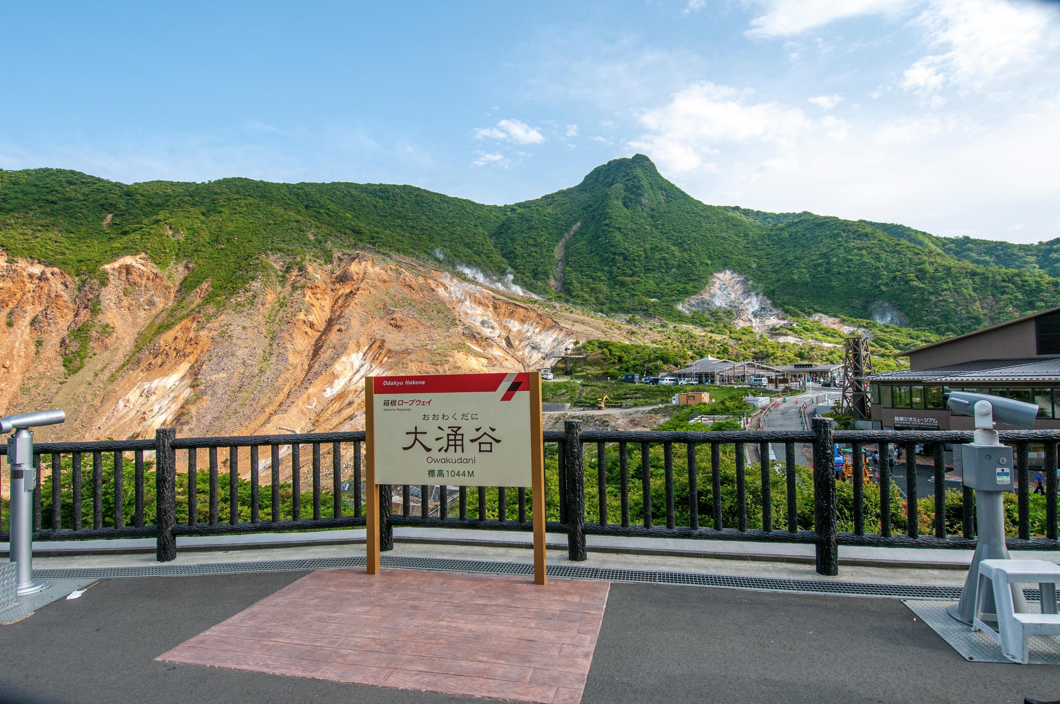 Tokyo Day Trip: Hakone Ropeway, Owakudani & Enoshima Sea-Fuji View