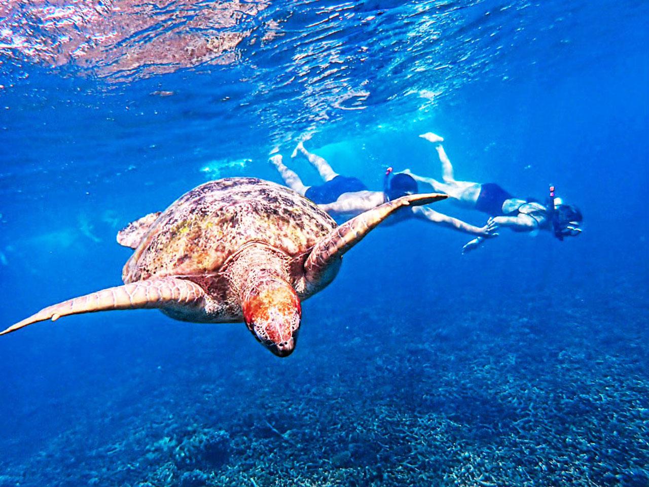 Surin Islands Snorkeling Adventure from Khao Lak