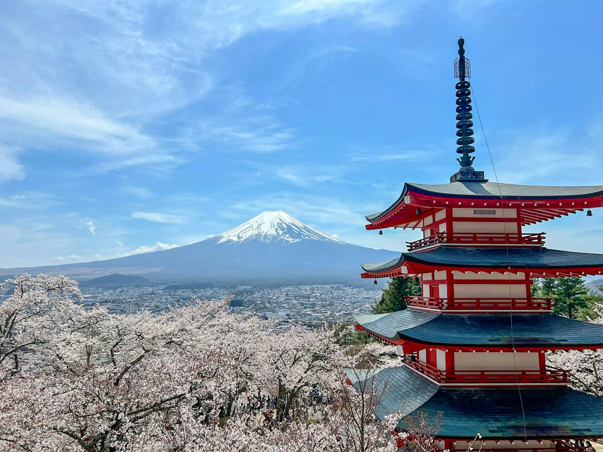 Mount Fuji & Hakone Private Full-Day Tour from Tokyo