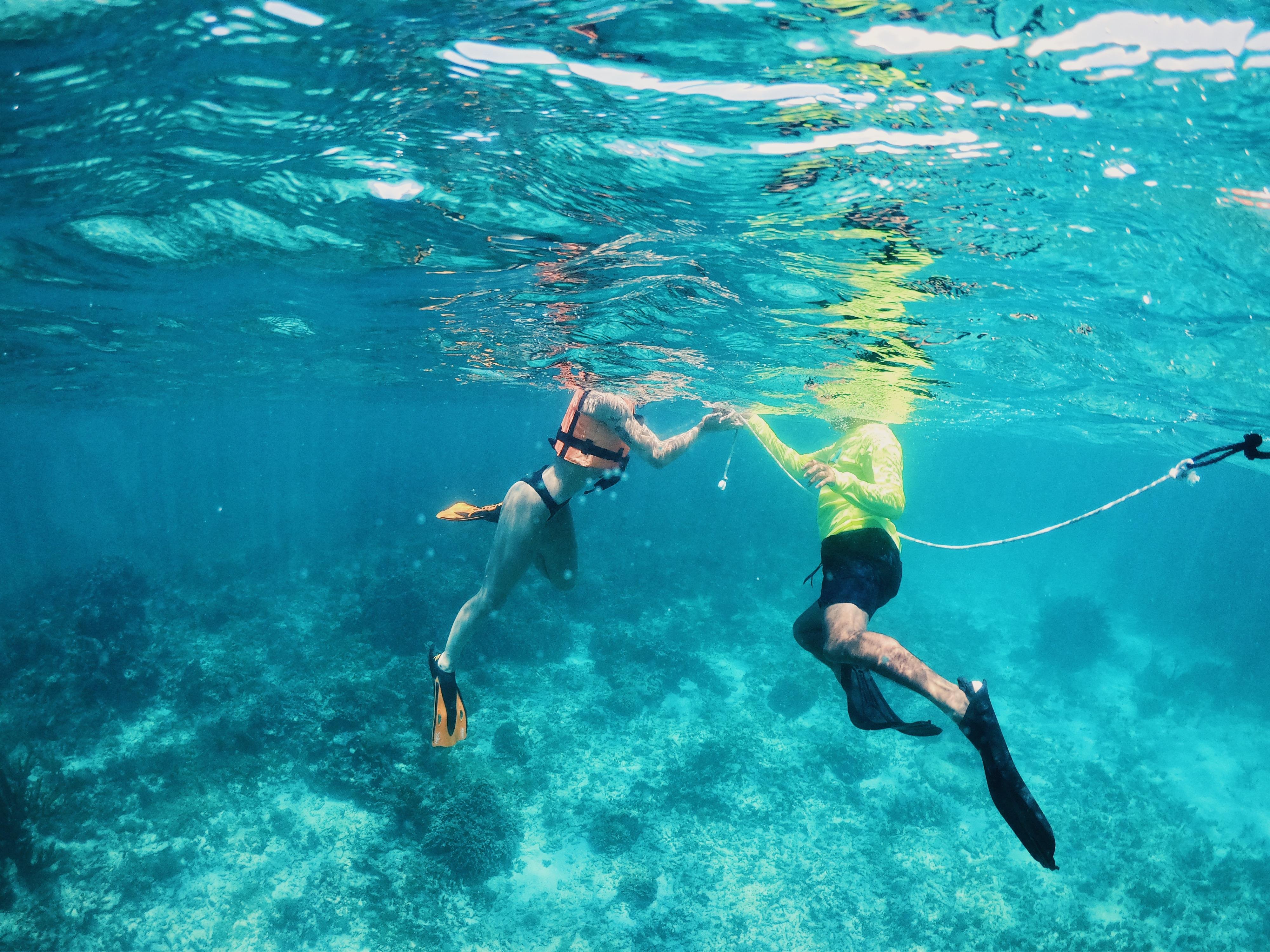 Tulum Sailing & Reef Snorkel Adventure