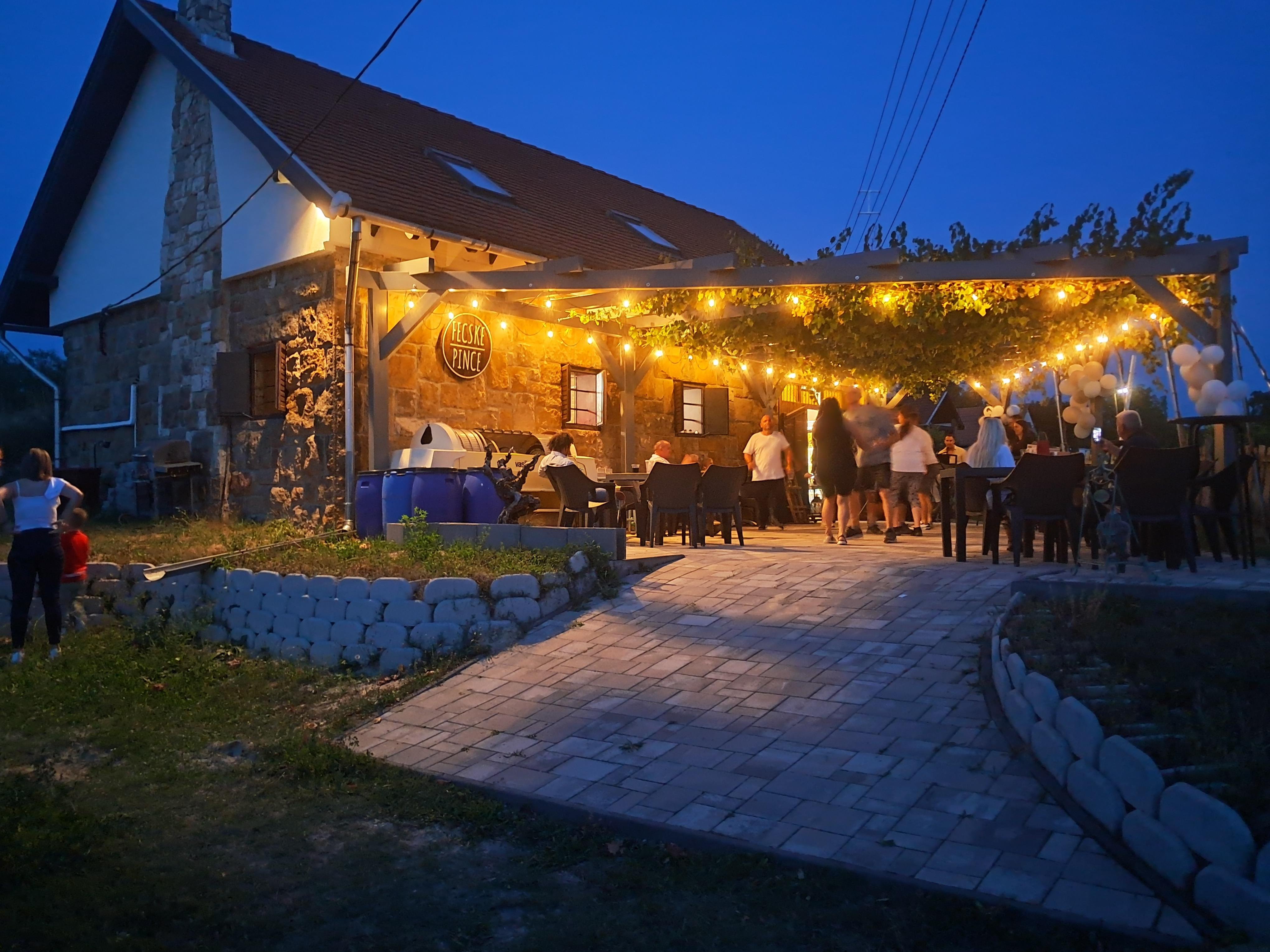 Monor Wine Village Half-Day Tour from Budapest