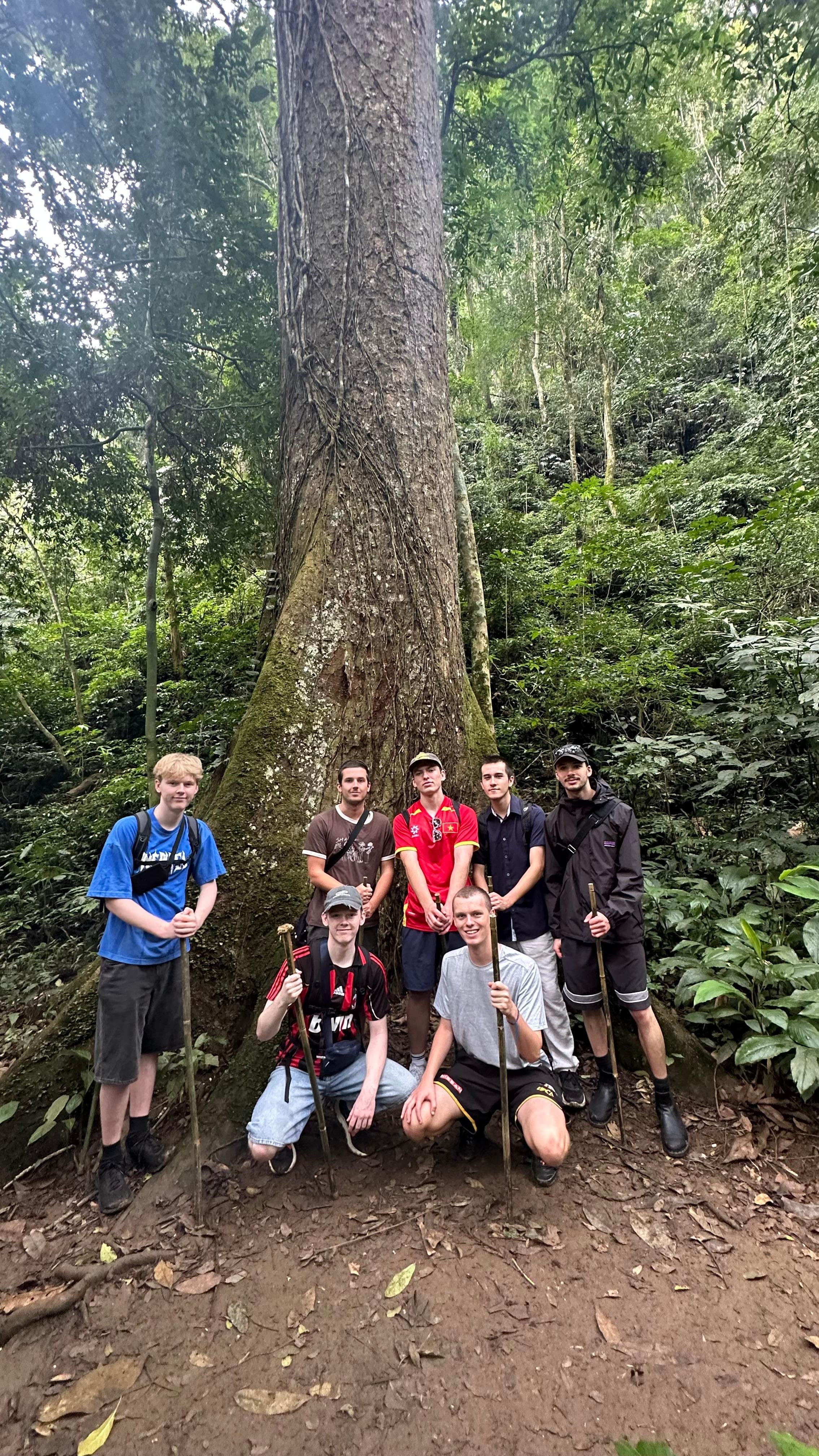 Cuc Phuong National Park Day Trek & Bear Sanctuary from Ninh Binh