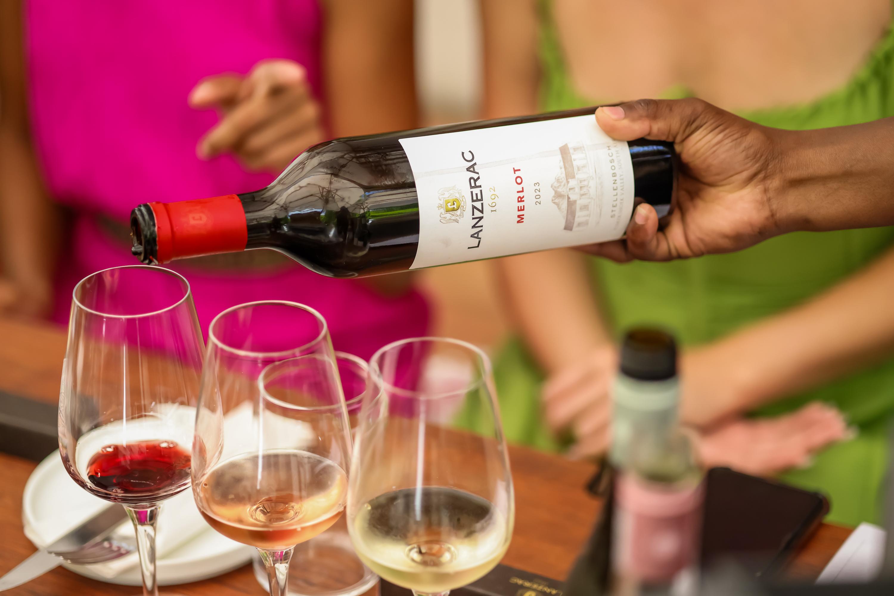 Cape Town Full-Day Wine Tasting & Wine Tram Tour
