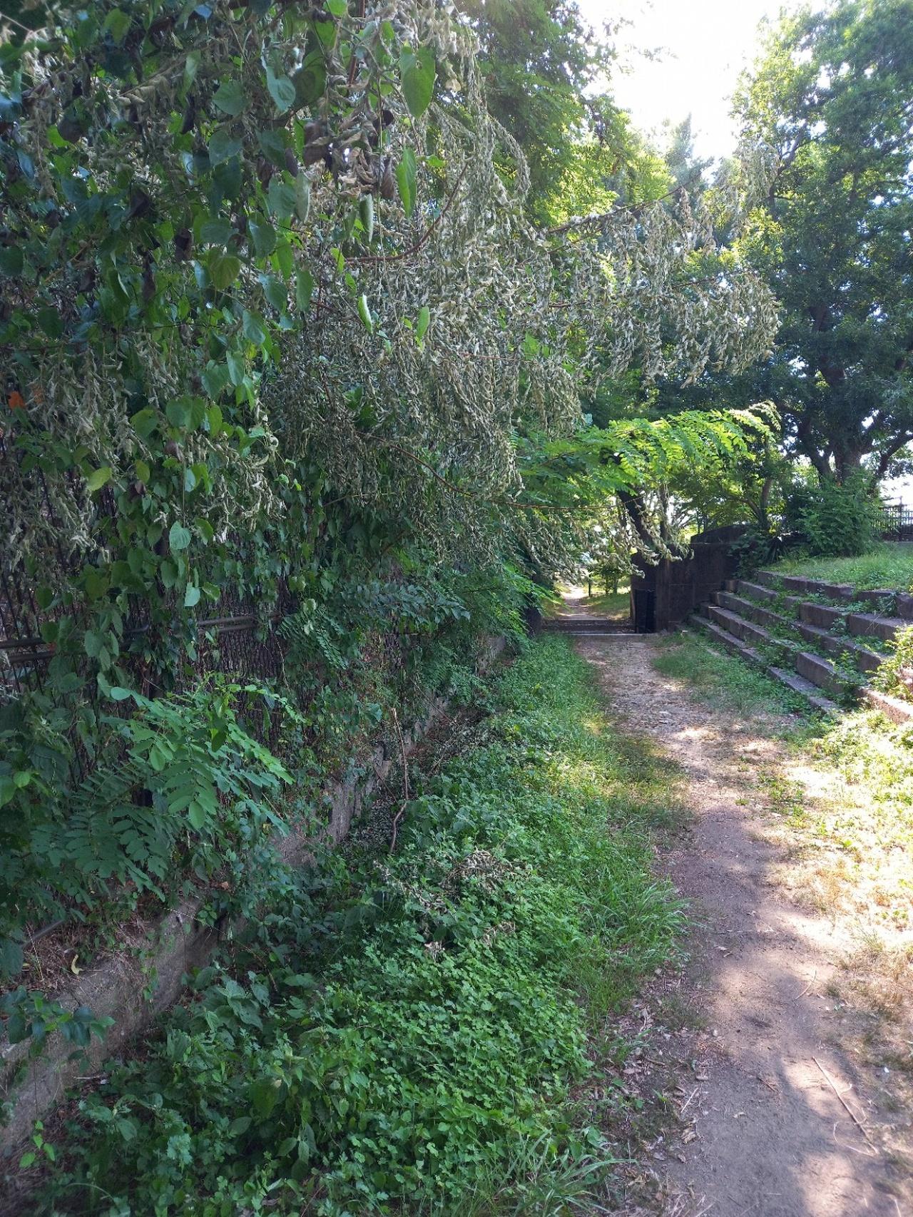 Osaka Castle Grounds: Haunted History & Legends Tour