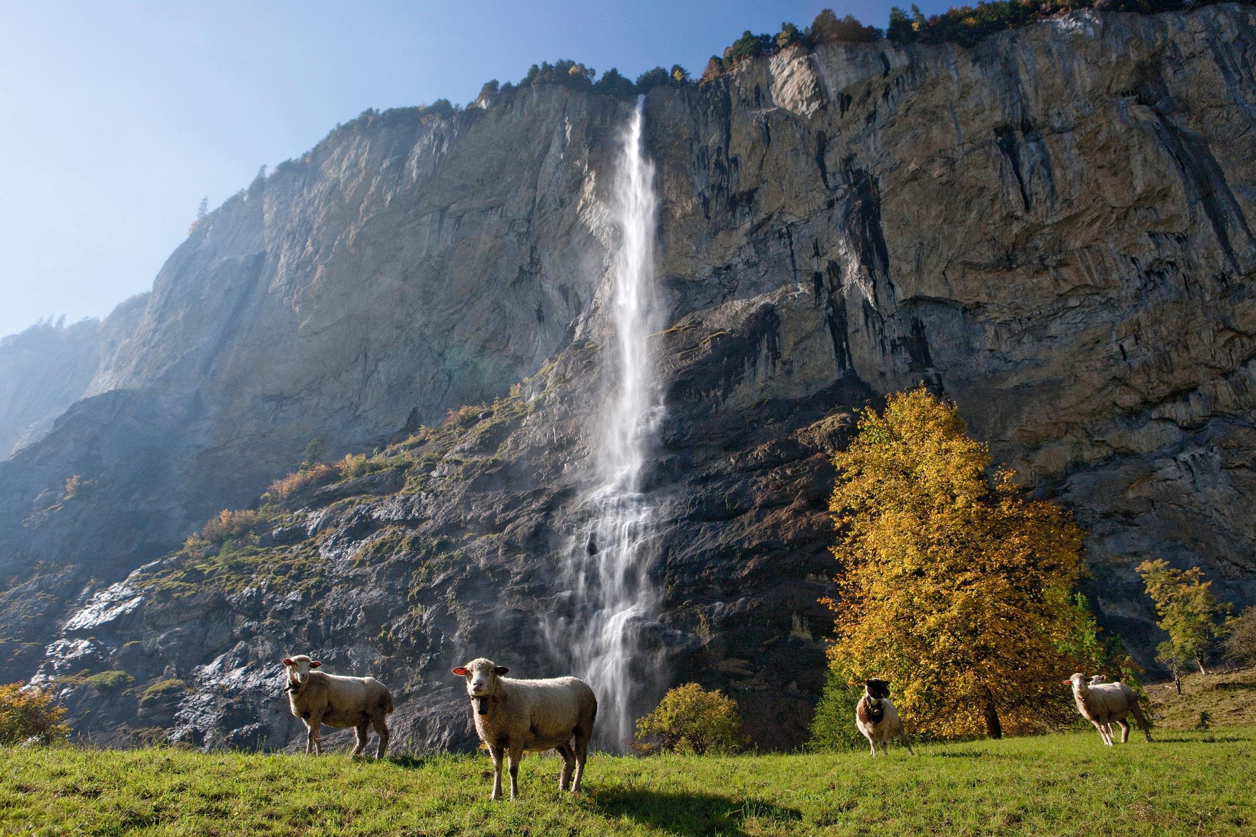 Zurich: Grindelwald, Interlaken & Lauterbrunnen Day Trip