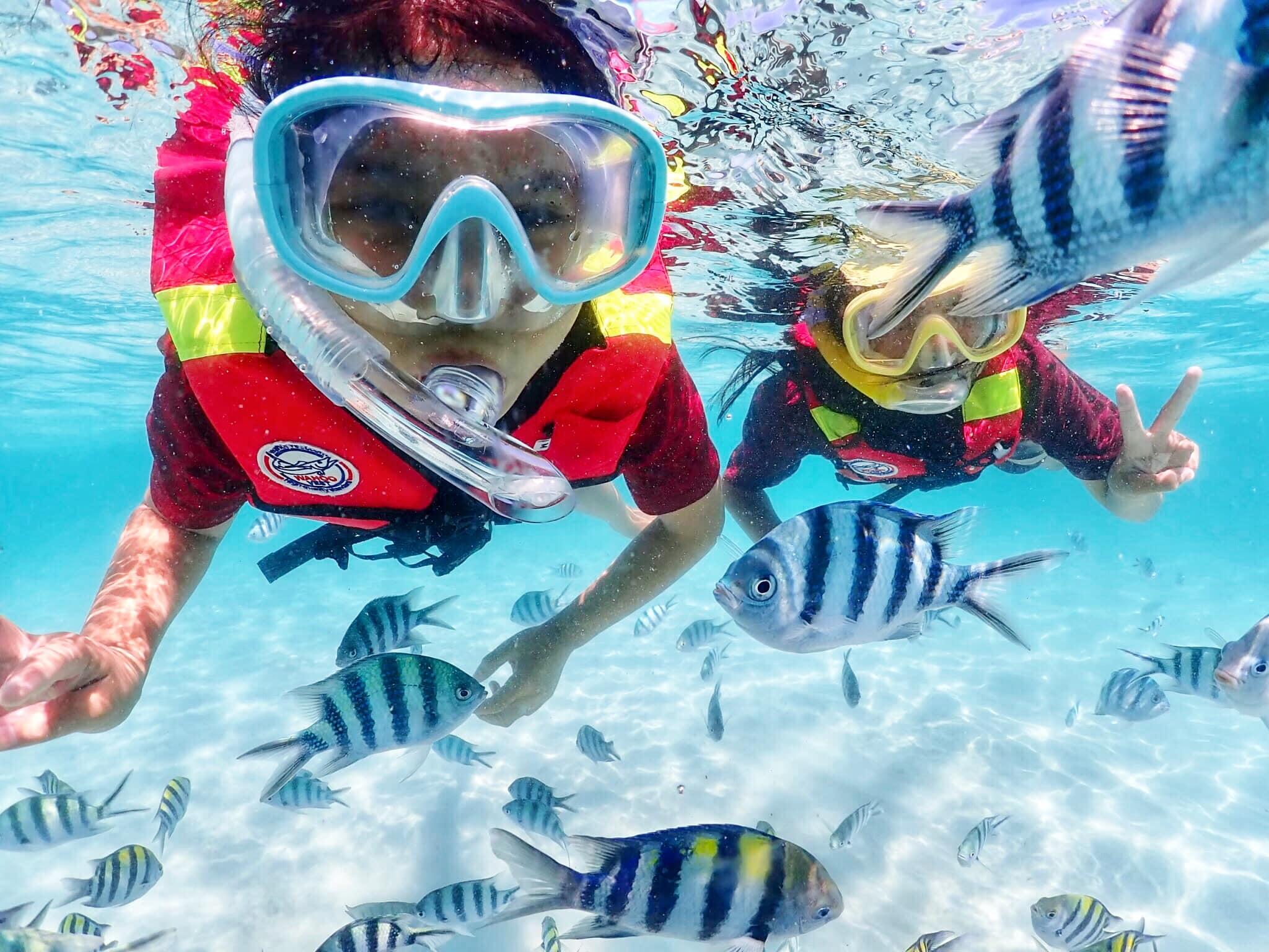 Nemo Island Snorkeling Excursion from Pattaya