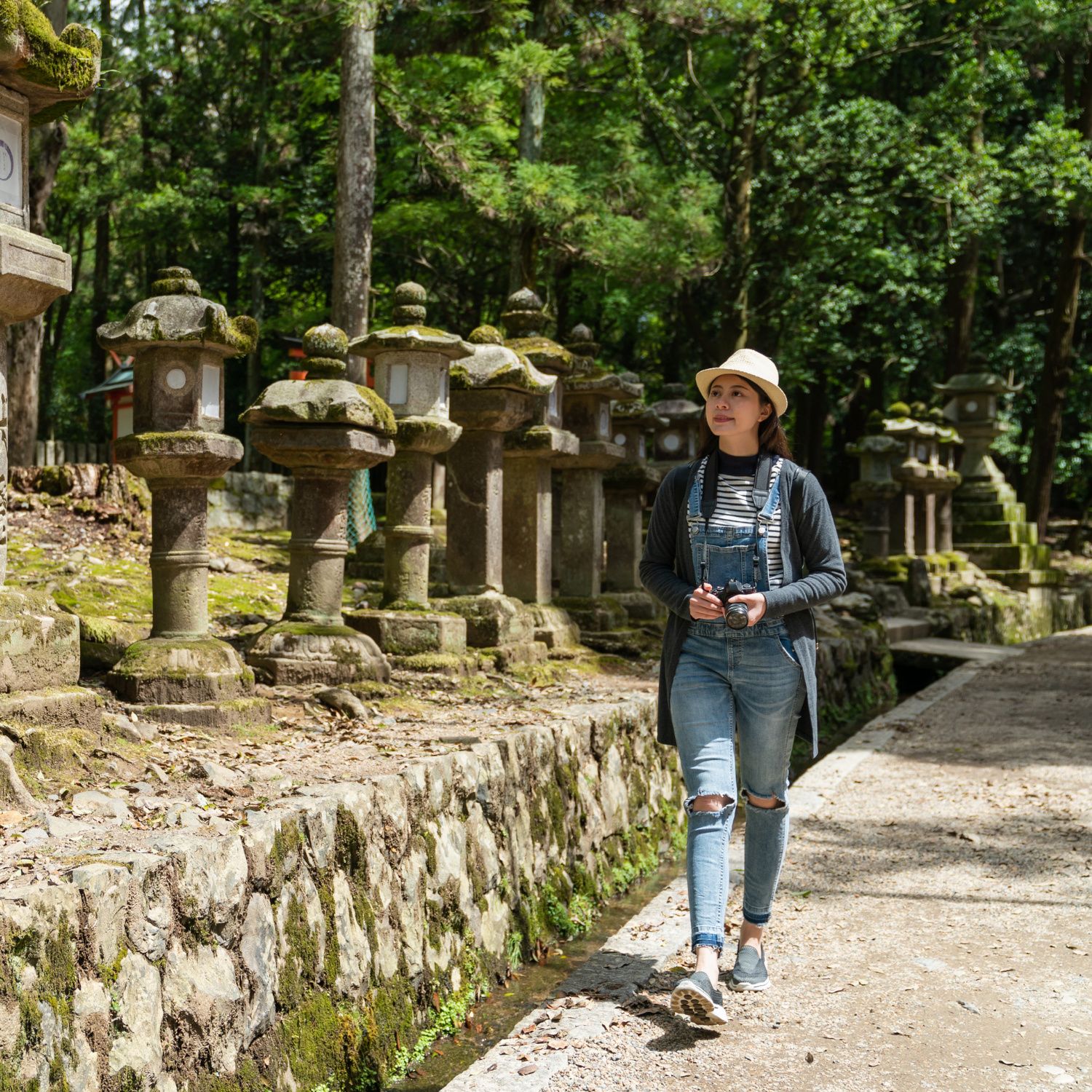 Private Nikko Day Tour from Tokyo – Fully Customizable