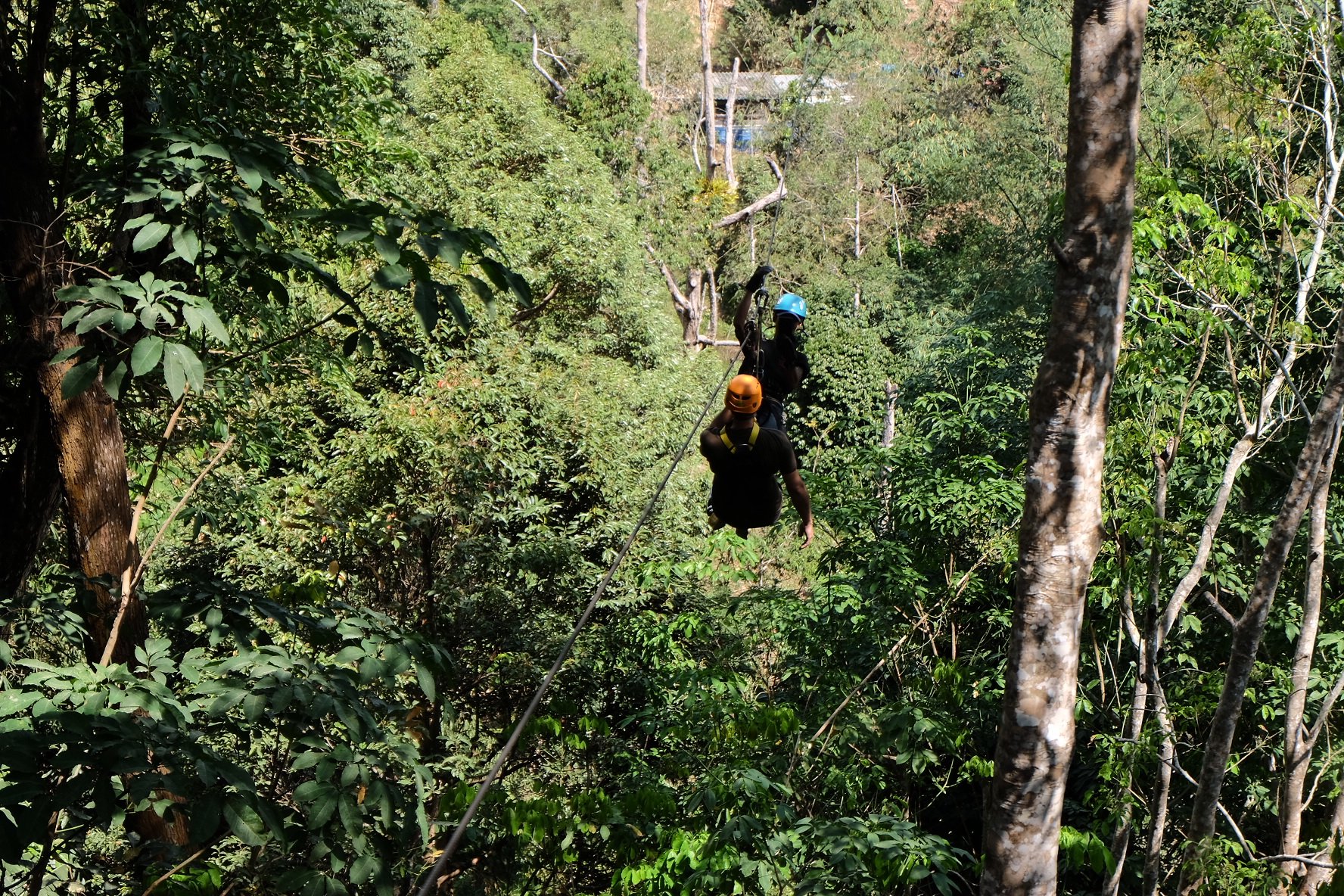 Phuket Jungle ATV Adventure: Big Buddha & Panorama Views