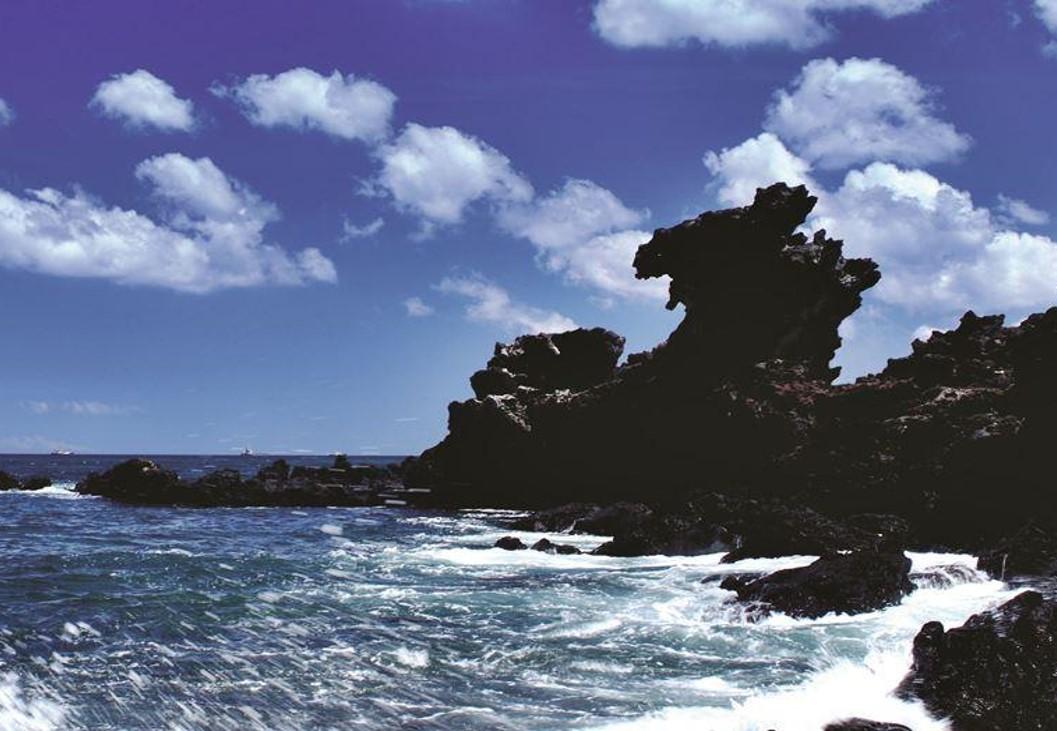 Jeju private car charter — image 20