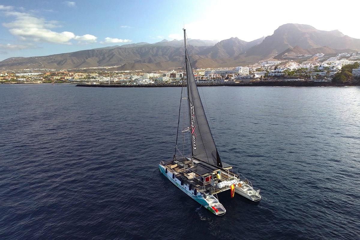 Eco-Friendly Whale & Dolphin Catamaran Cruise in Costa Adeje