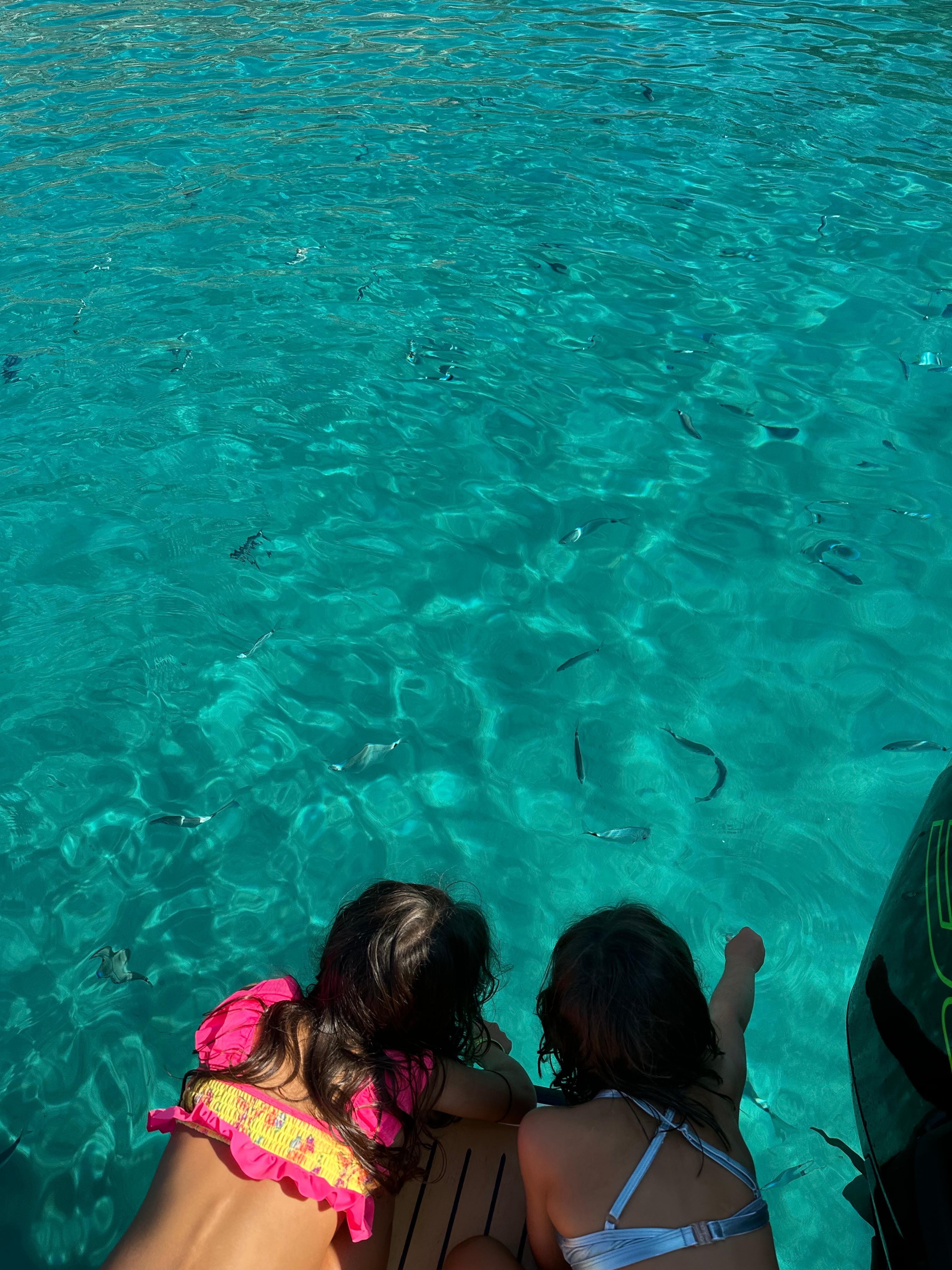 Morning Sailing with Breakfast & Swim at Revellata Peninsula