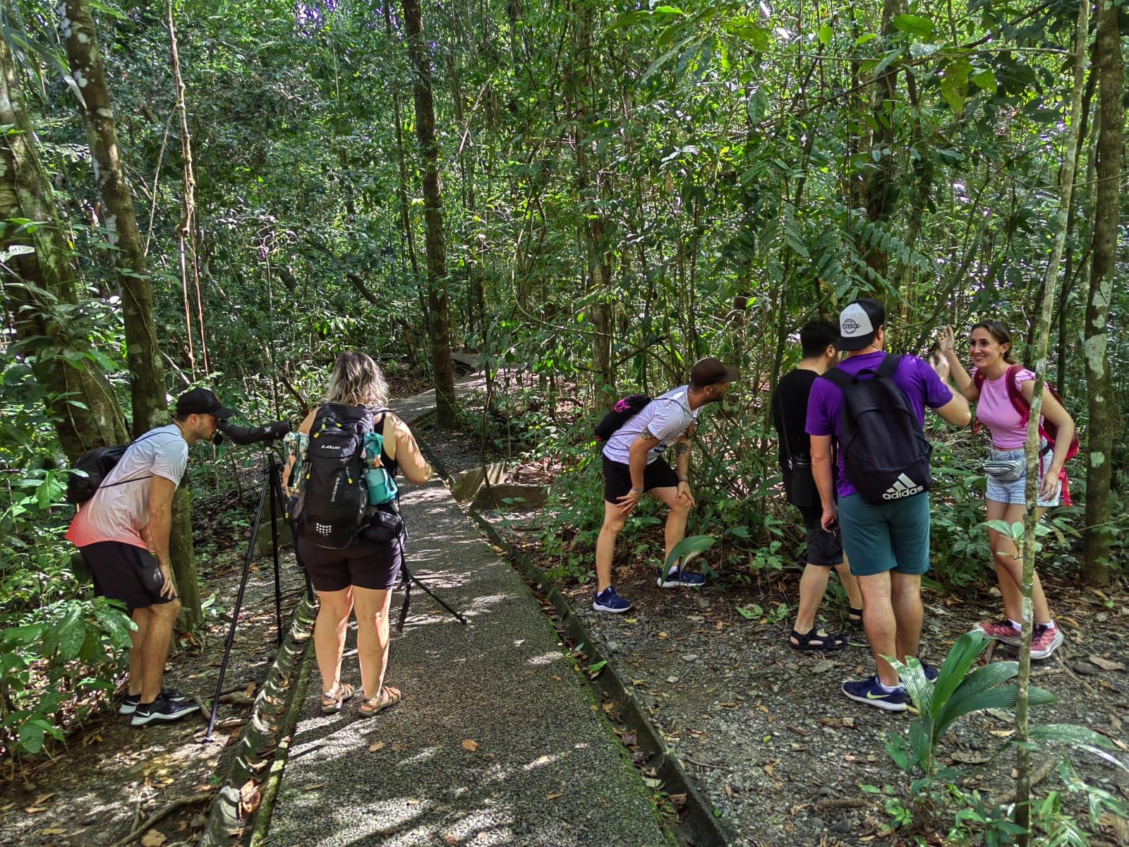 Manuel Antonio National Park: Wildlife Guided Tour with Entrance Fee