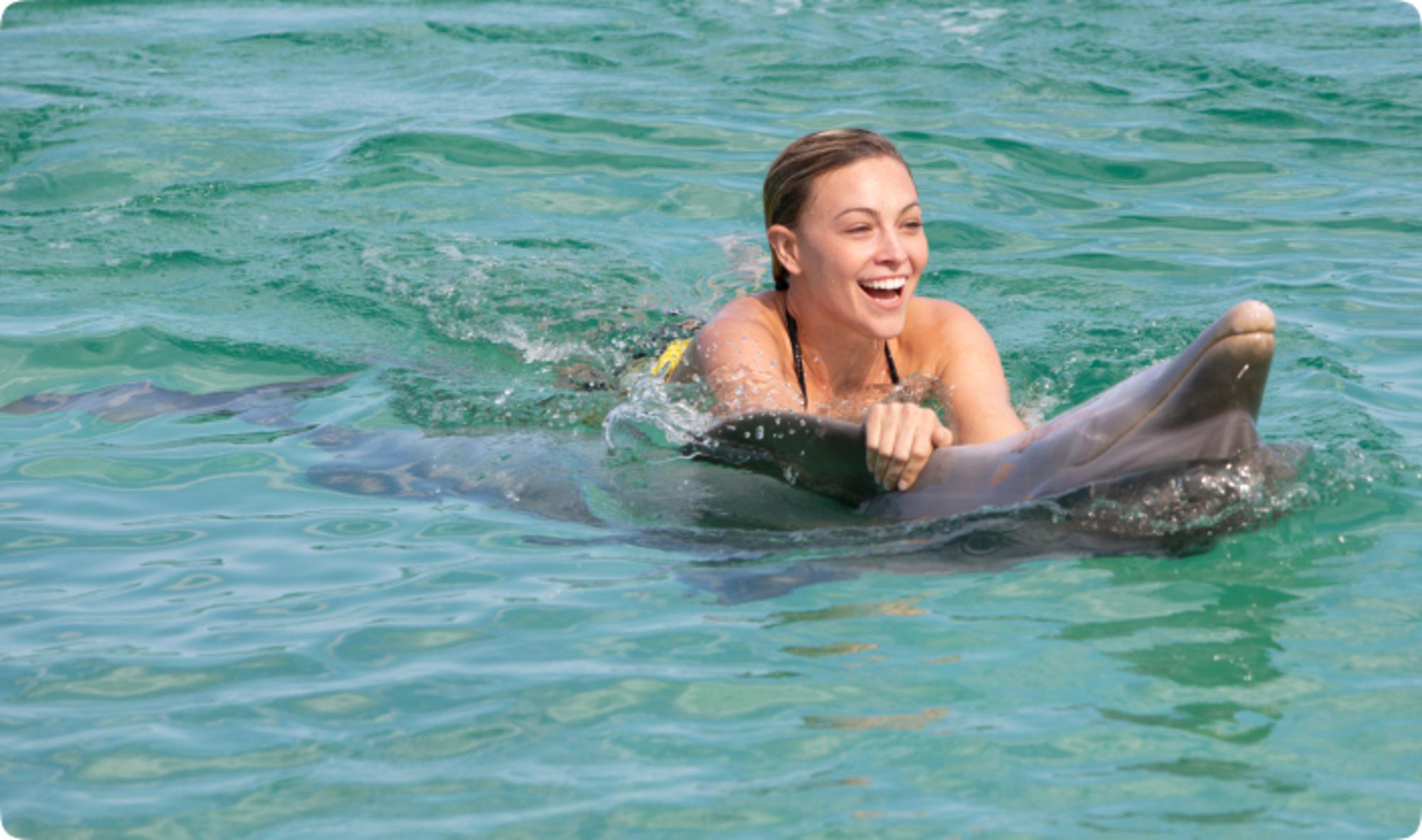 Punta Cana: Royal Dolphin Swim and Marine Encounter