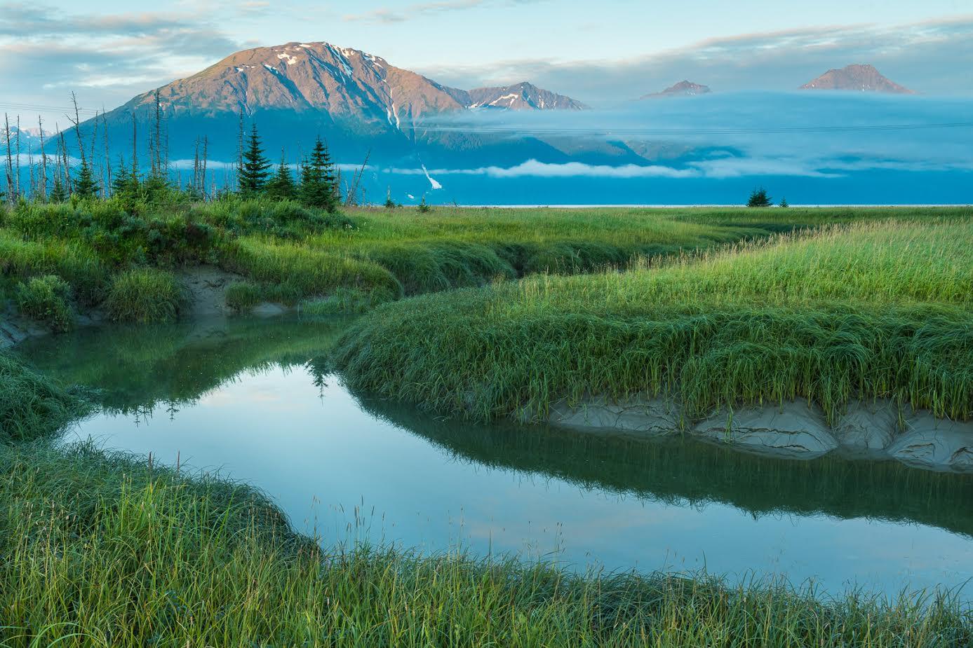 Anchorage: Turnagain Arm Highlights Photography Day Trip