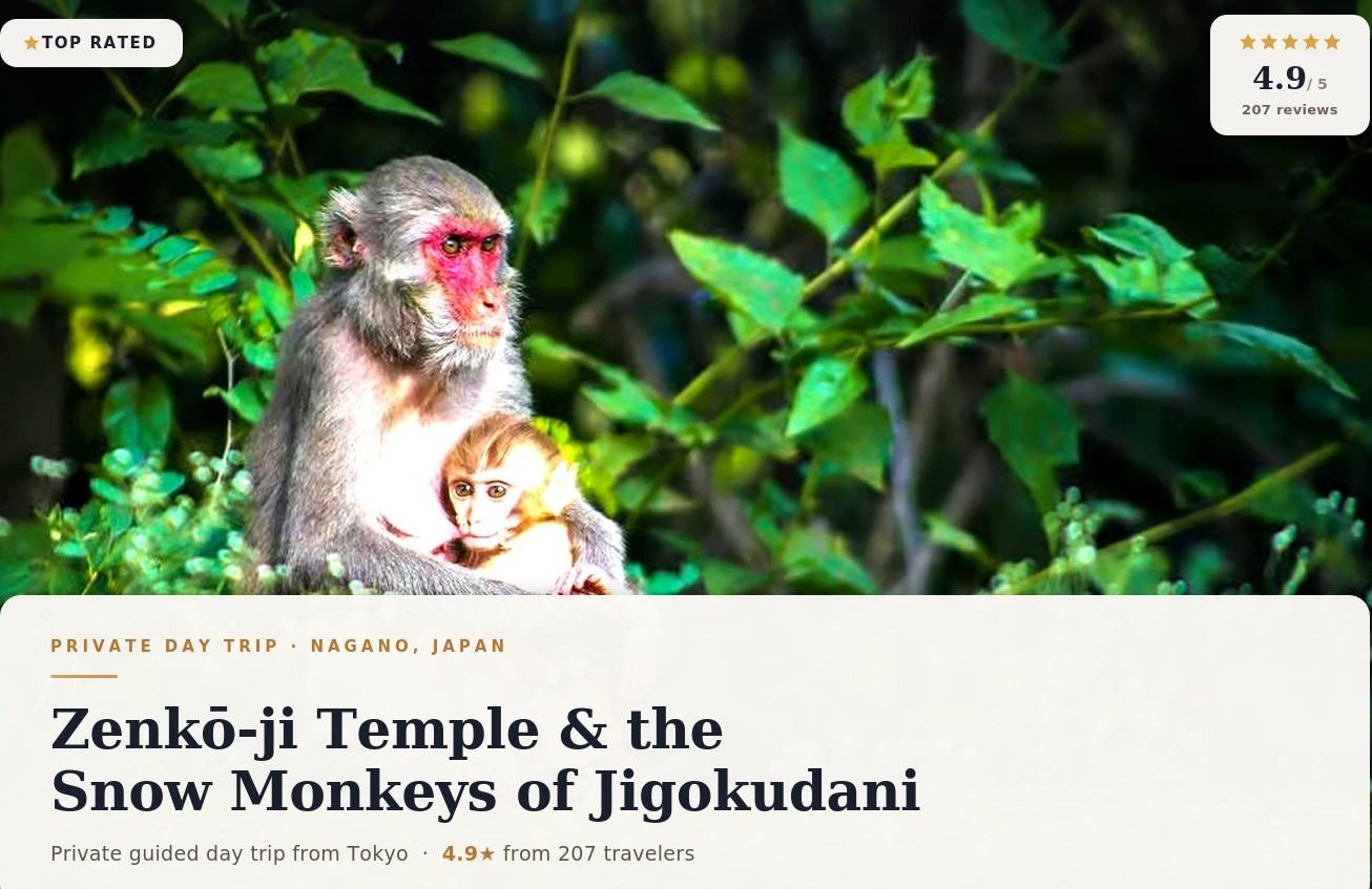 Nagano Snow Monkey Park & Zenko-ji Temple Private Day Tour from Tokyo