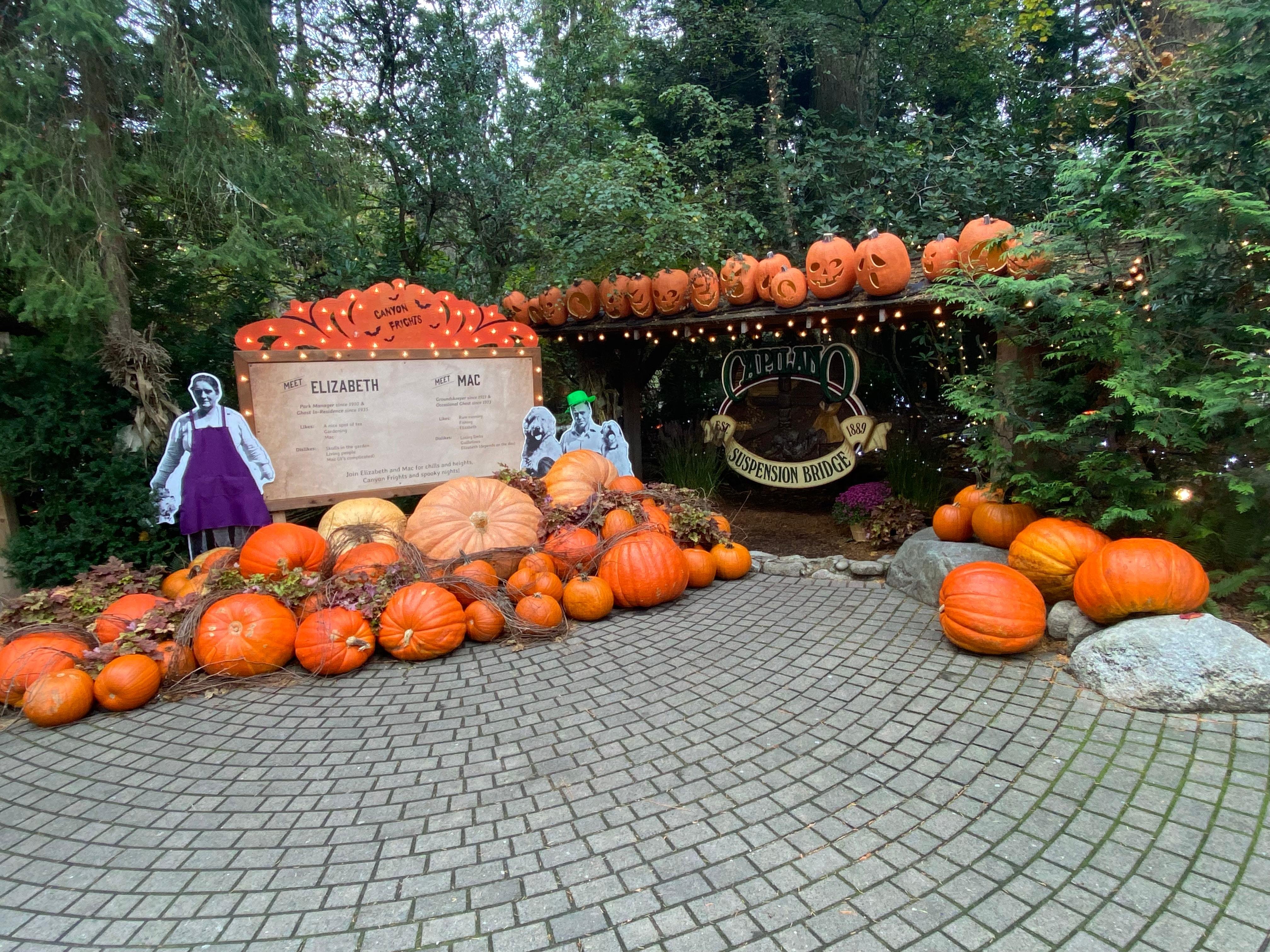 Private Vancouver Highlights: Capilano Suspension & Grouse Mountain