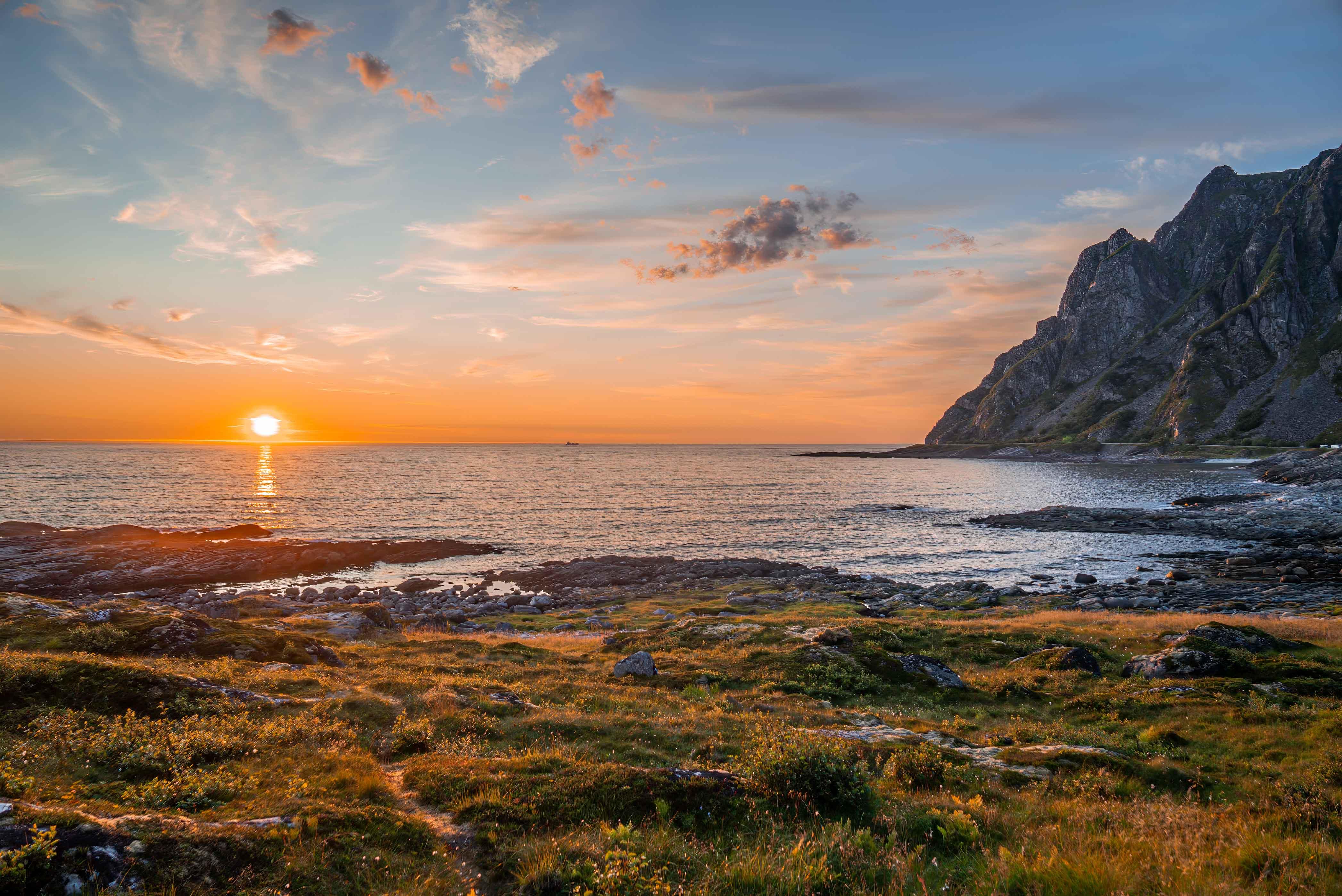 Andøya Coastal Wildlife & Scenic Road Excursion from Sortland
