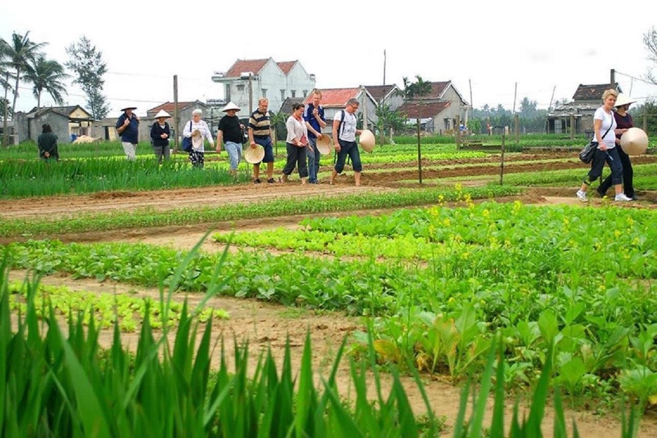 Hoi An Cycling, Farming & Cooking Experience