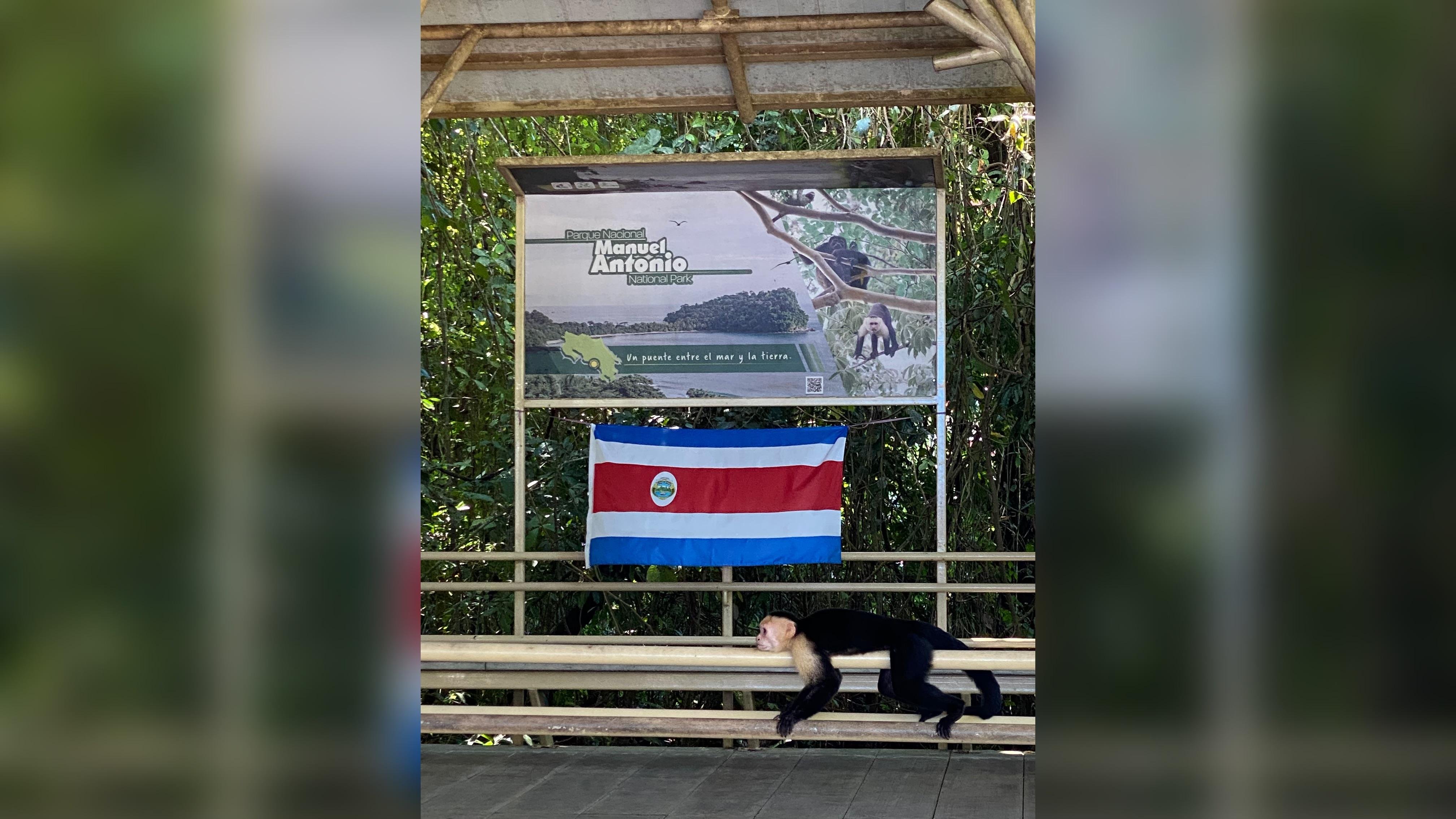 Manuel Antonio National Park: Naturalist-Led Wildlife Walking Tour