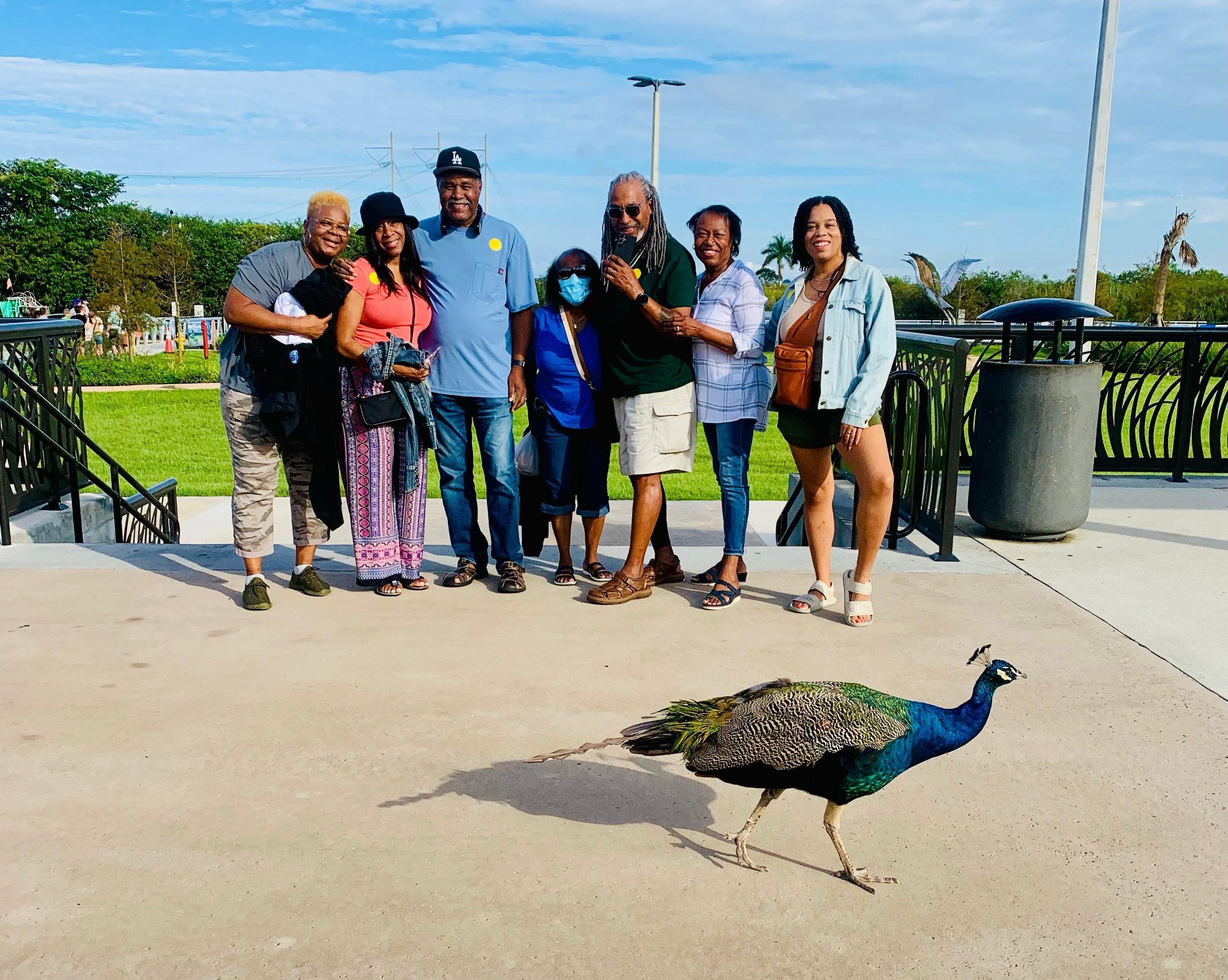 Everglades Airboat Adventure with Miami Transportation