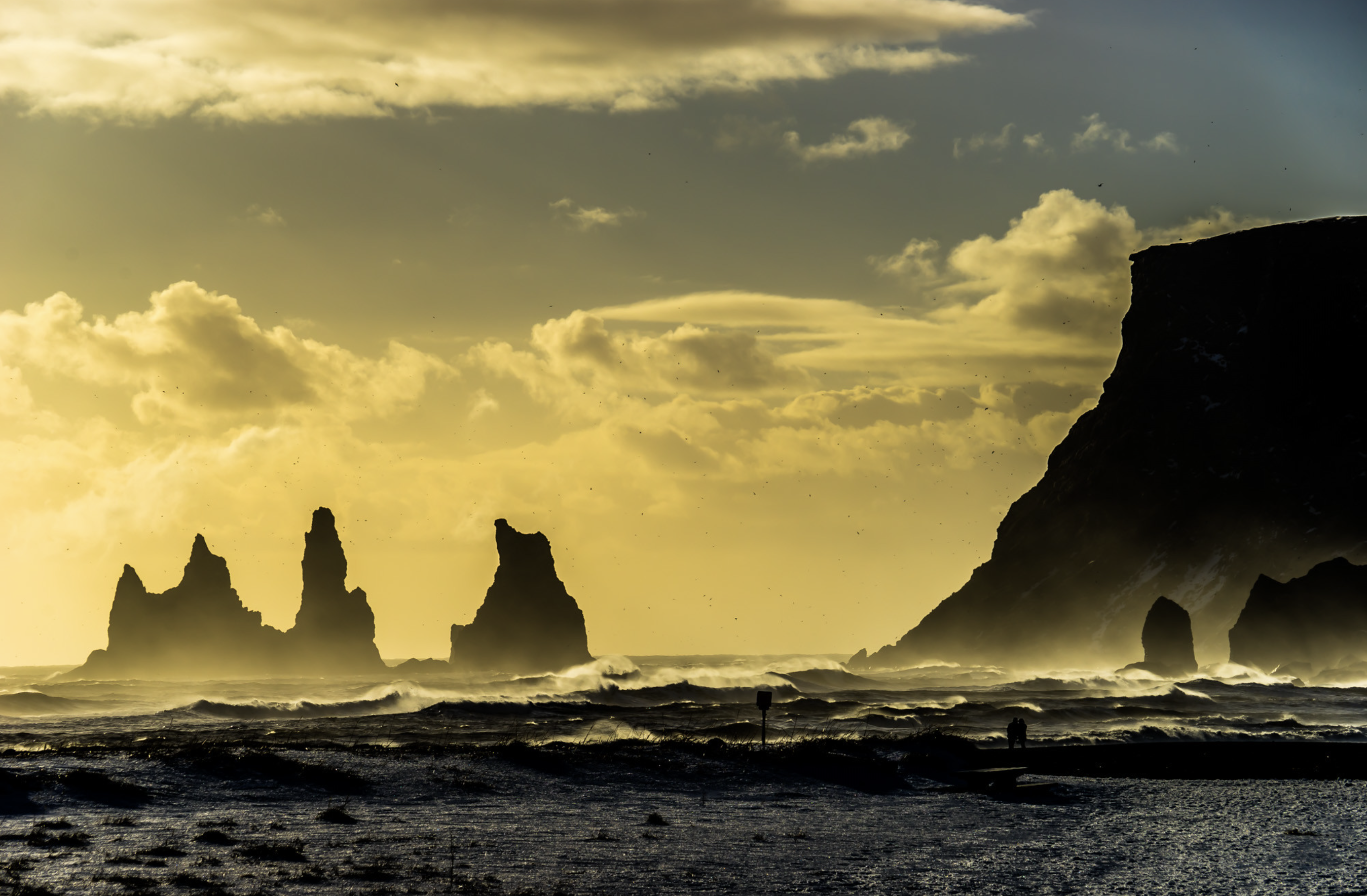 South Coast Small-Group Day Trip from Reykjavík