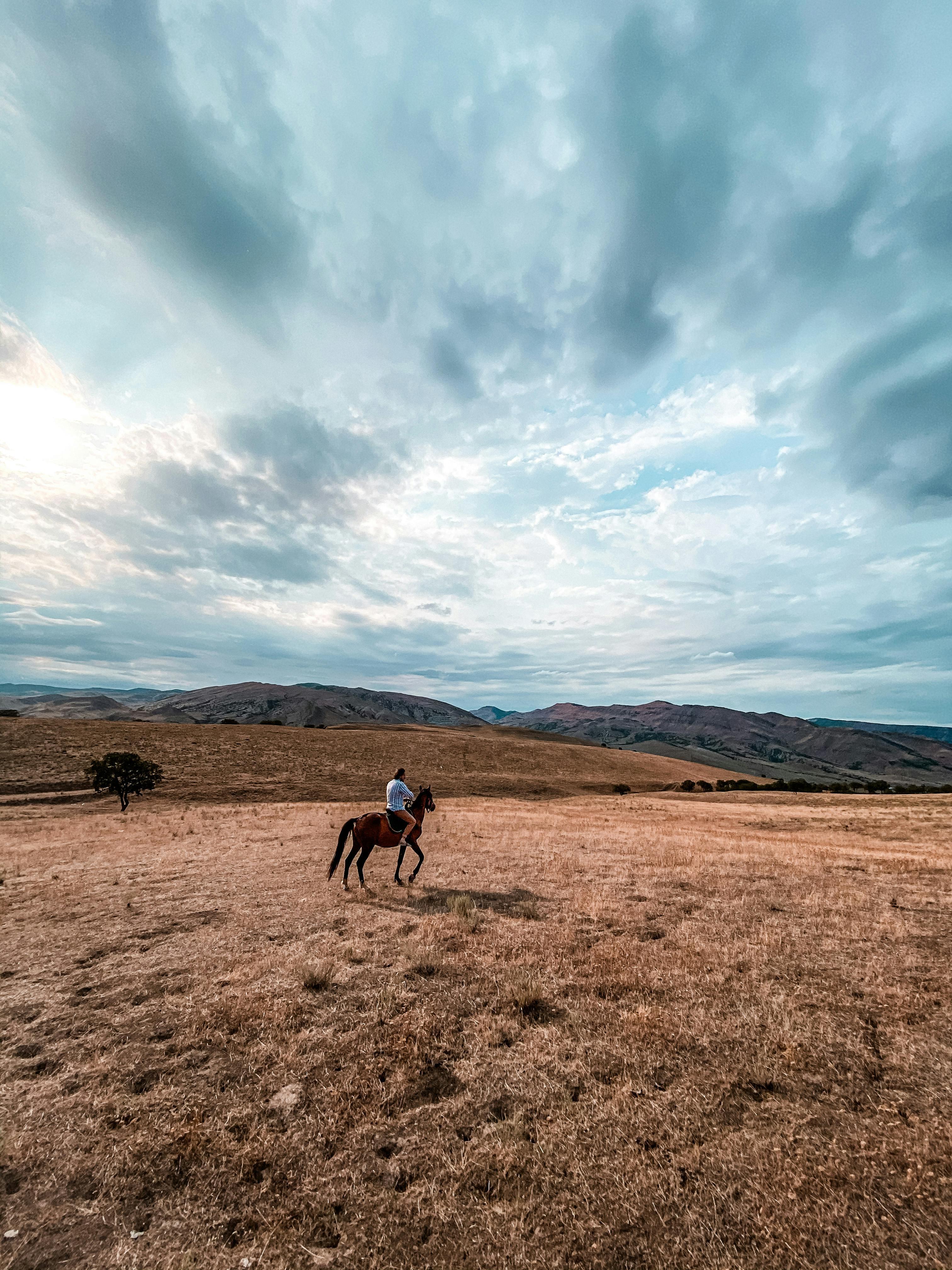 Somerset 6-Hour Experienced Horseback Safari