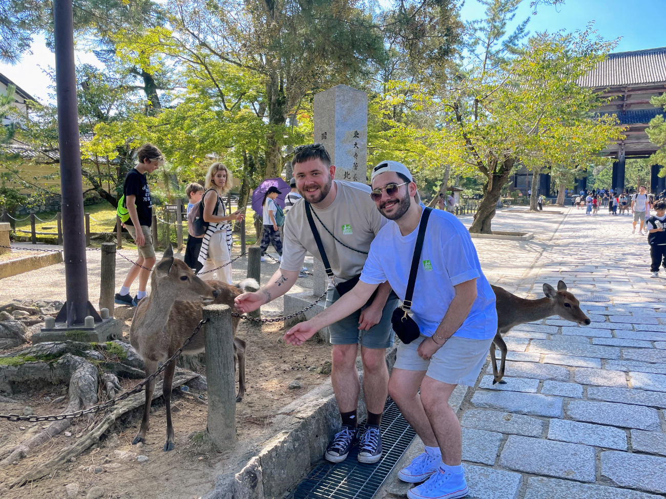 Nara Guided Half-Day Morning Tour from Kyoto